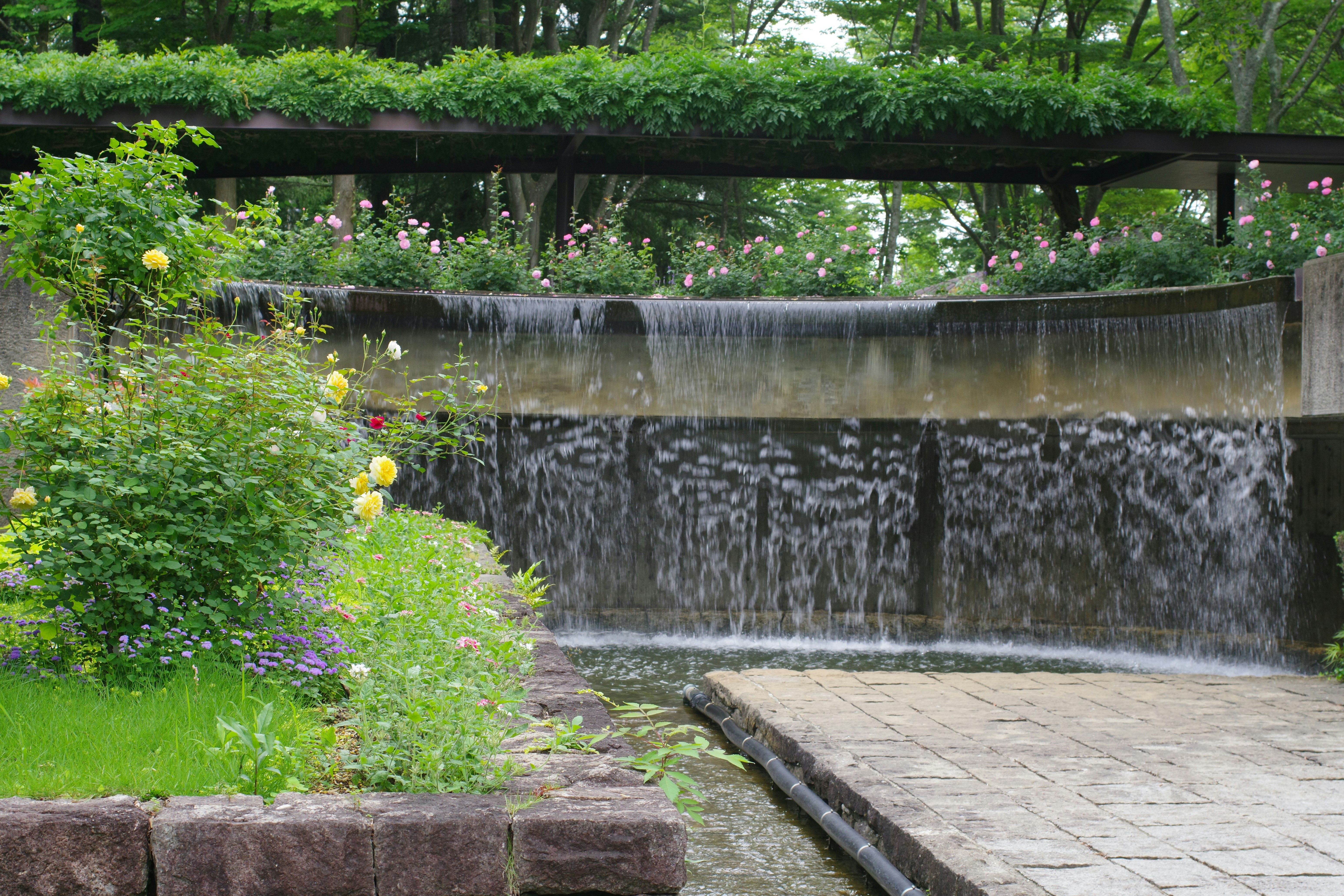 photo-1719755144073-6c0849fb14f2?ixid=M3wxMjA3fDB8MXxzZWFyY2h8MTl8fGdlbnNoaW4lMjBpbXBhY3QlMjBmb250YWluZXxlbnwwfHx8fDE3NjMxMDYyNDd8MA\u0026ixlib=rb-4.1.0