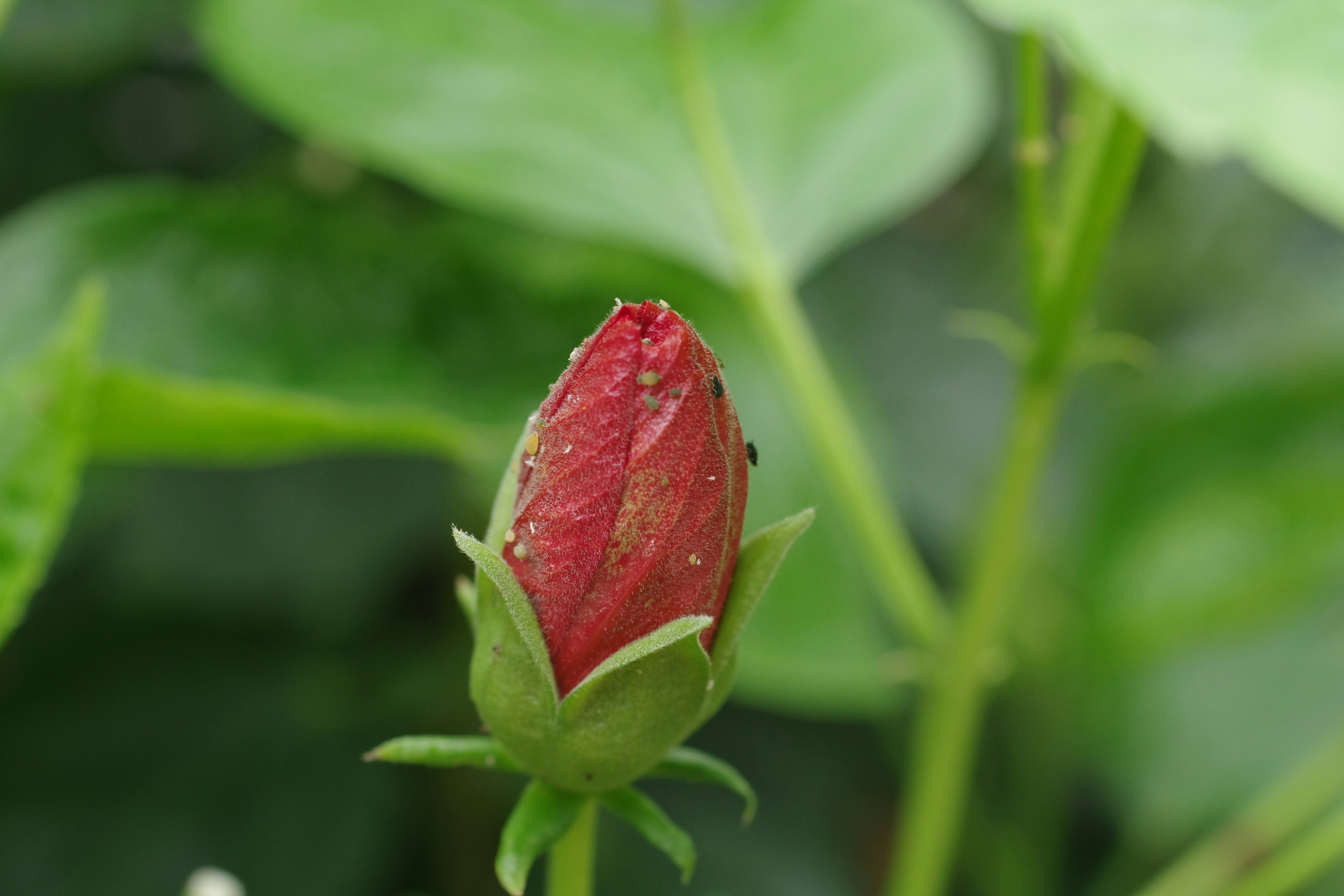😱震驚！99%的人都做錯的家居清潔術，小心住到鬼屋！