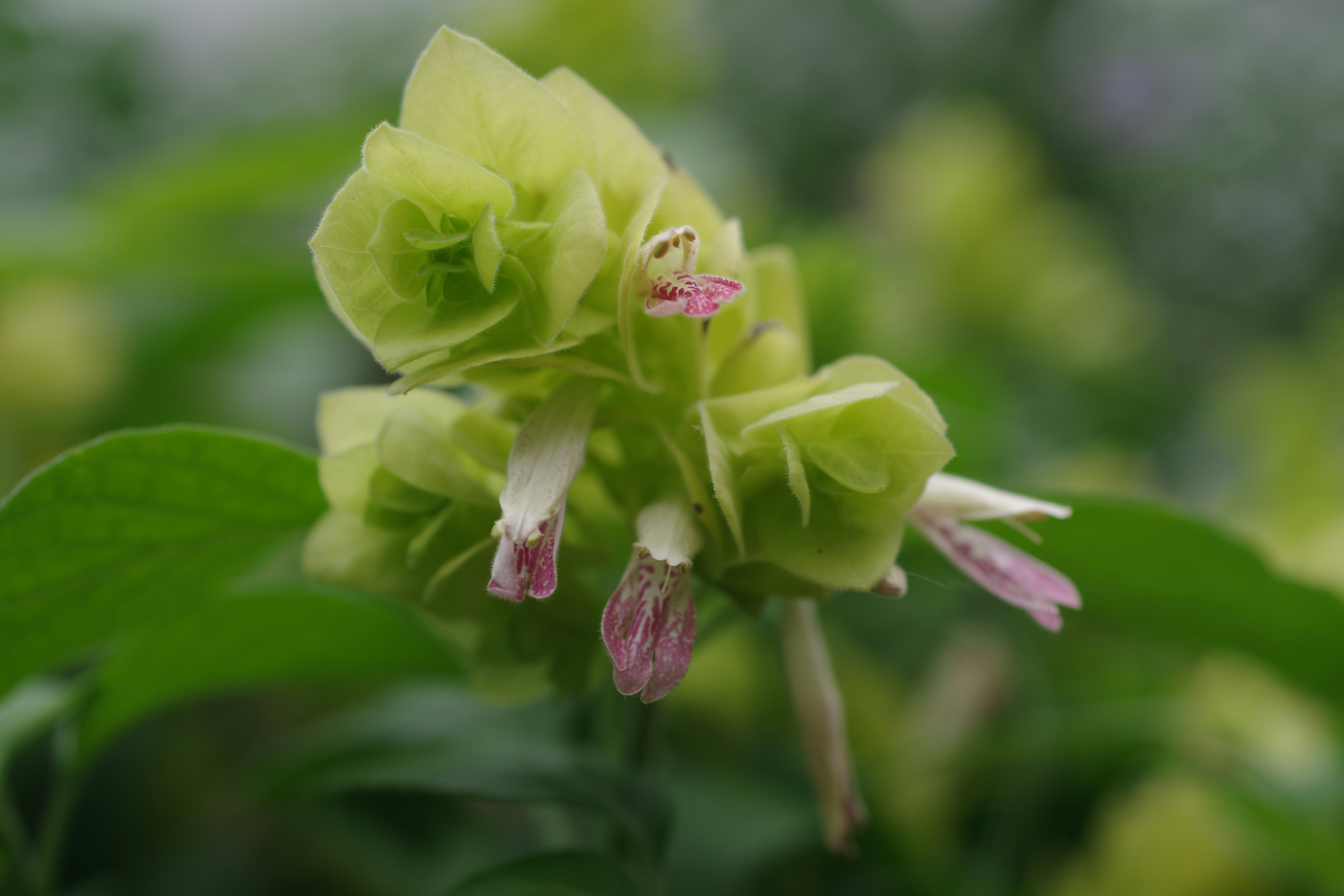 全家崩潰！廚房這物沒清，蟑螂大軍直接入住你家！