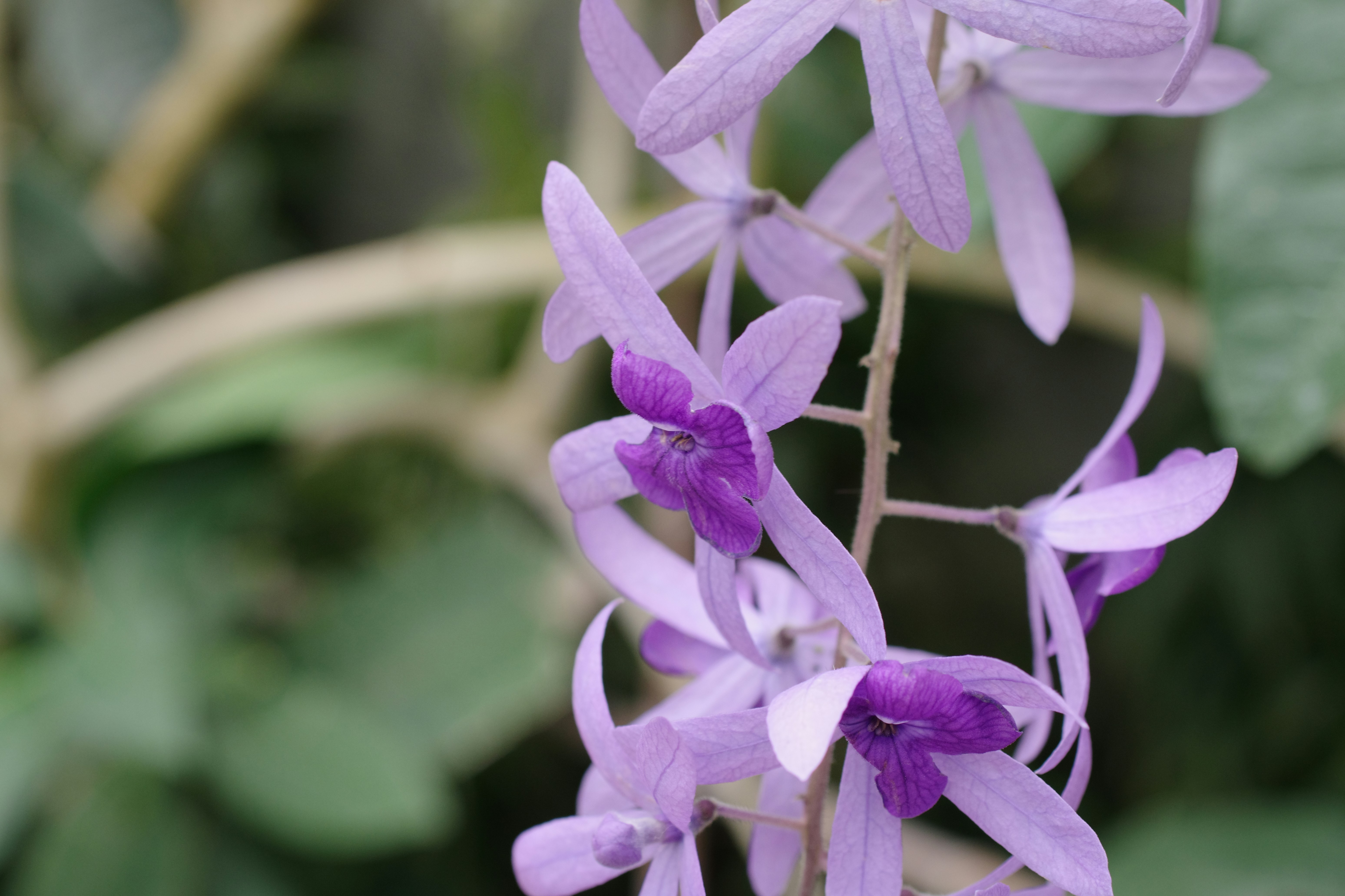 媽啊！90%的人都不知道，這樣做家裡空氣直接變NASA等級！