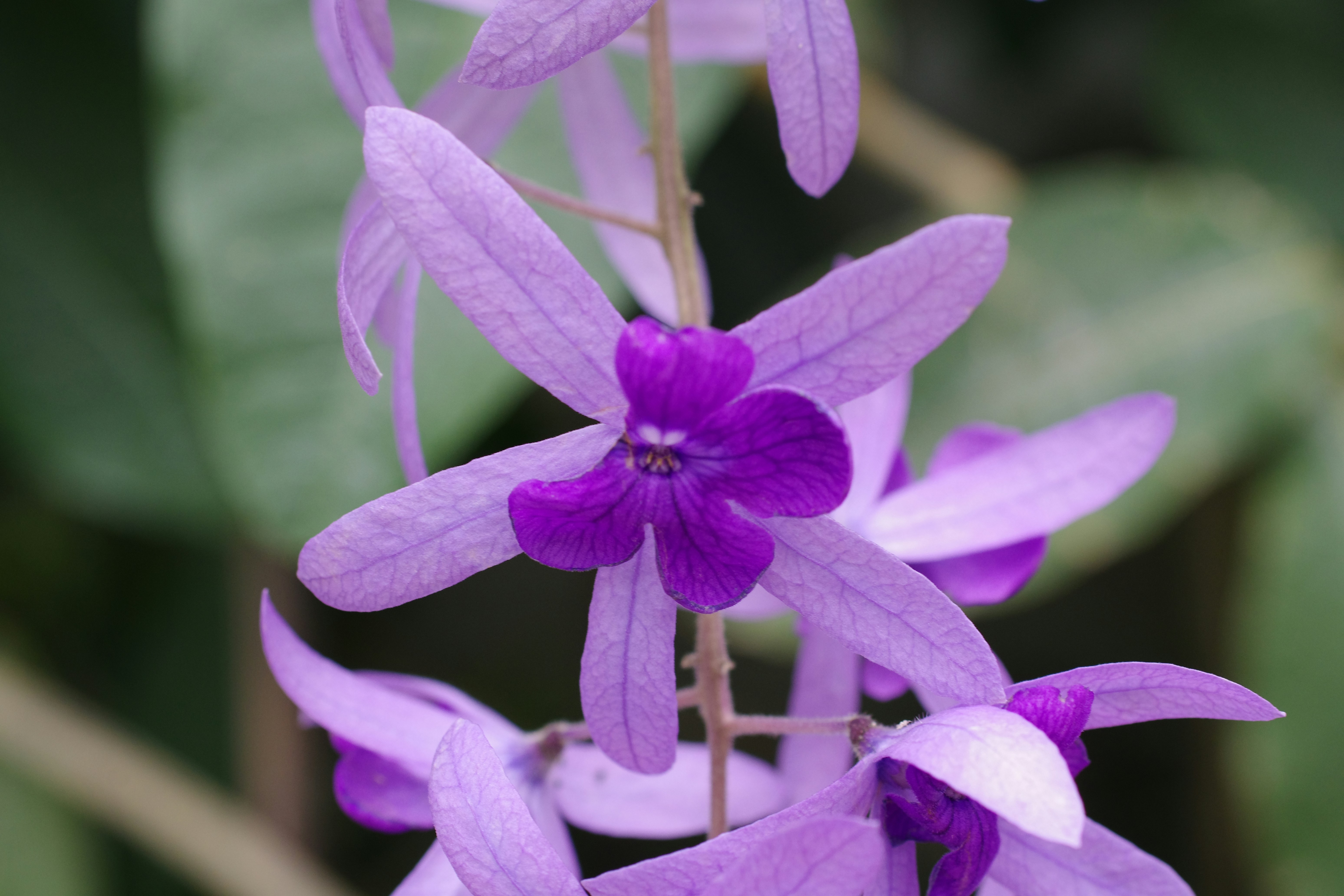 媽啊！這 5 招收納術，我家直接變豪宅！ feat. 東京收納女王