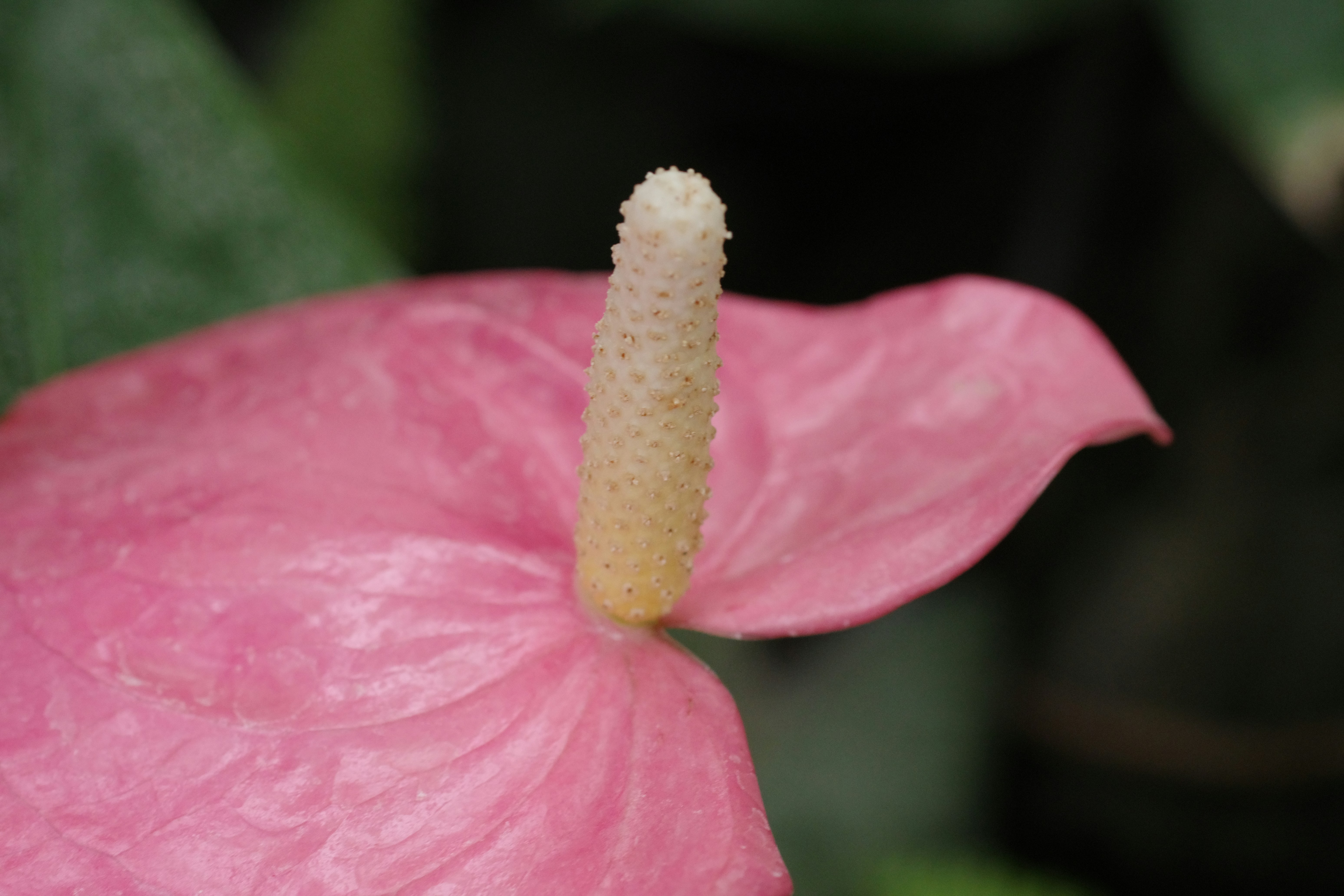 😱震驚！你家99%都錯了！爆紅家居真相曝光，看完保證後悔！