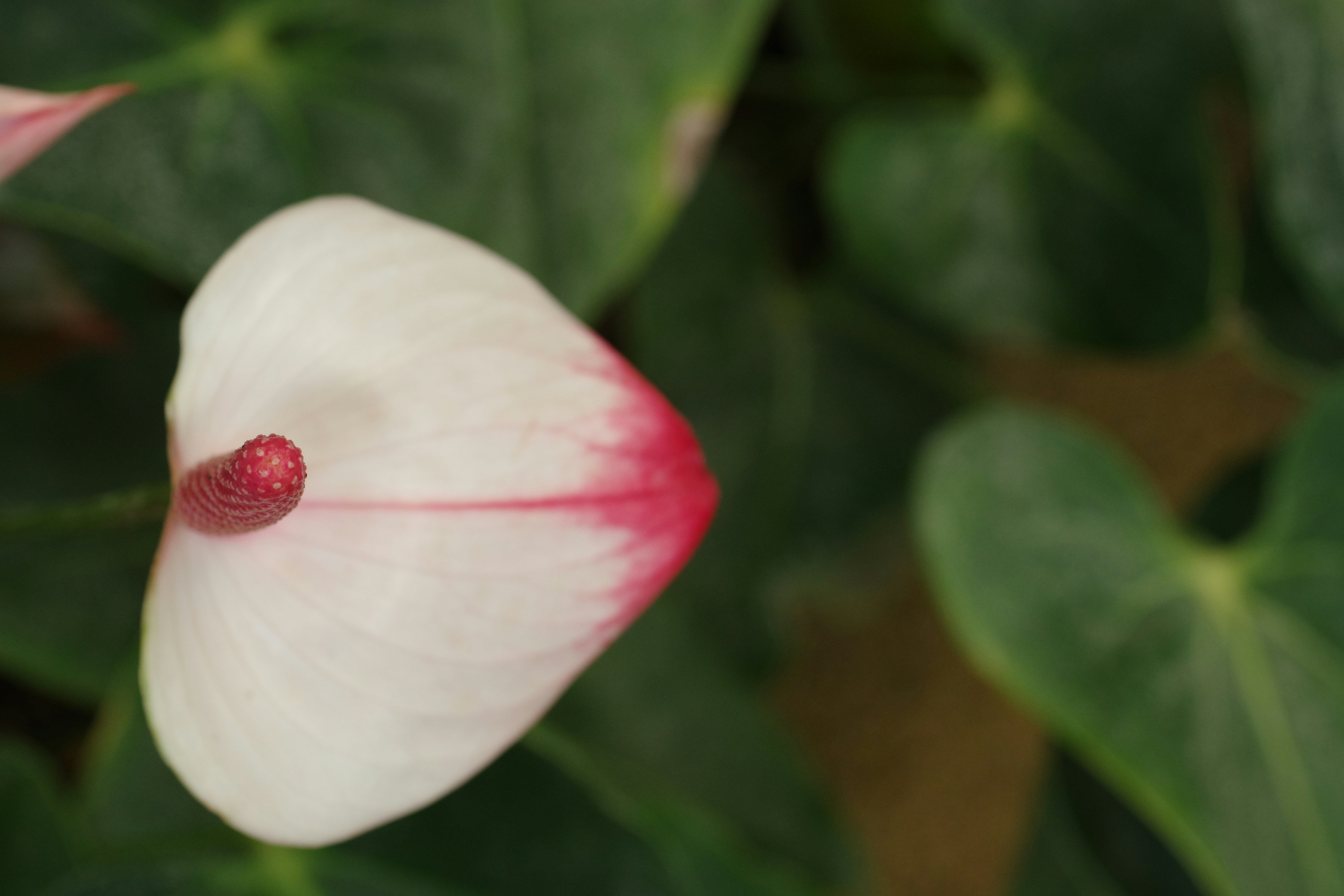 媽啊！廚房水管塞爆？水電工阿伯教你一招，省下萬元通管費！