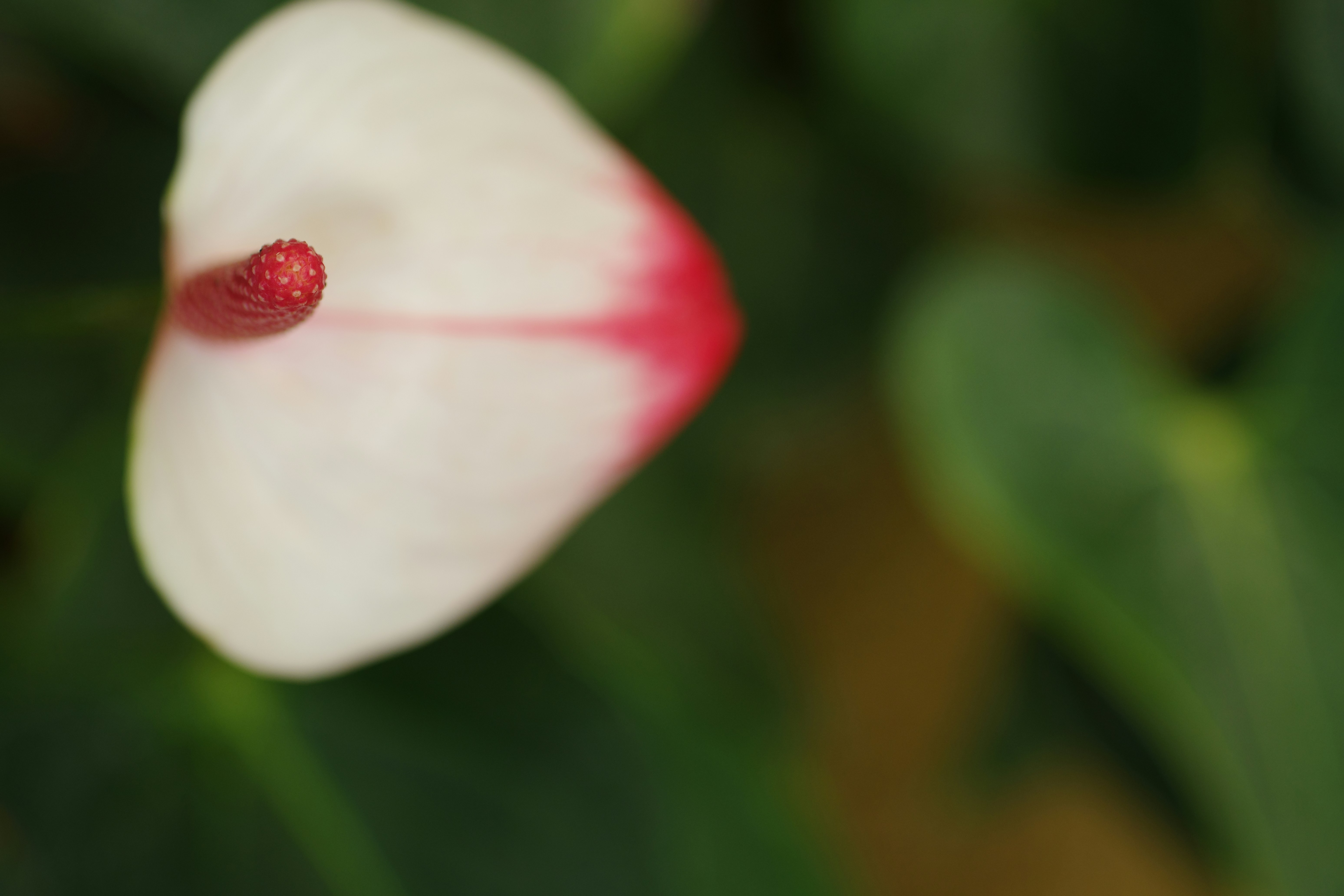 😱 家裡竟然比垃圾場還髒？99%的人都中招的家居地雷！