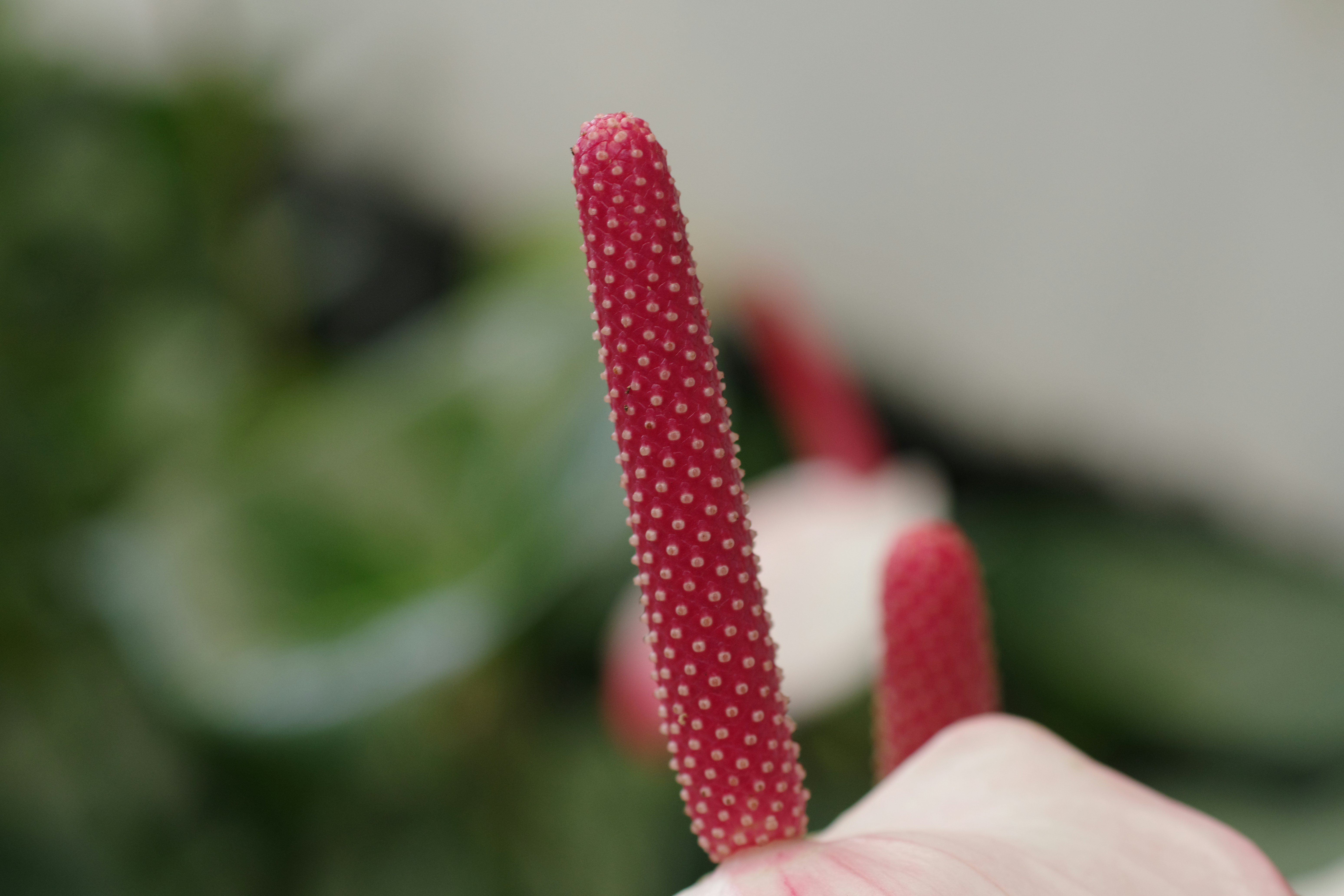 Raspberry Pi lance une clé USB avec un avantage clé