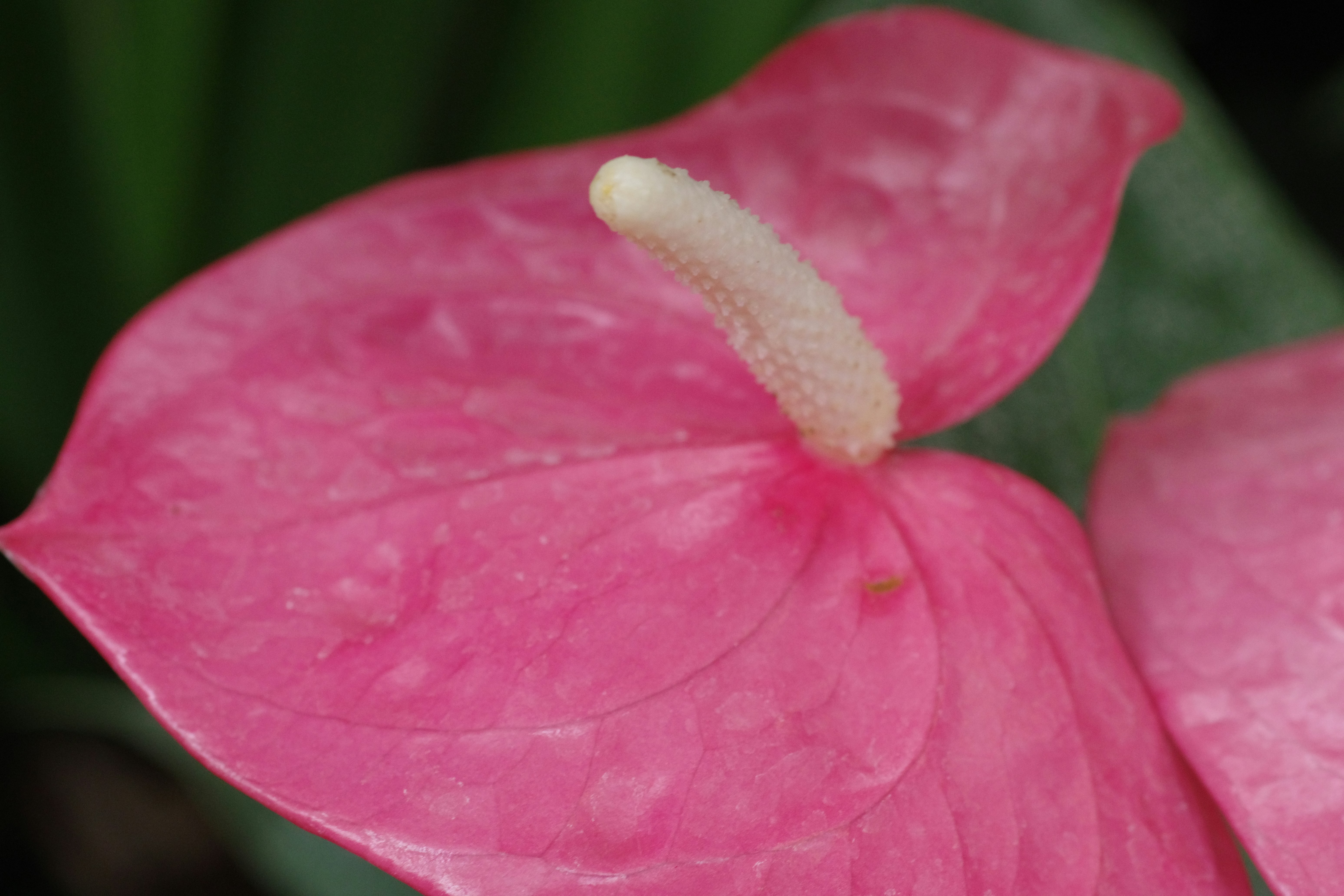 Prévisions de bénéfices du troisième trimestre revues à la baisse pour Booz Allen Hamilton selon un analyste