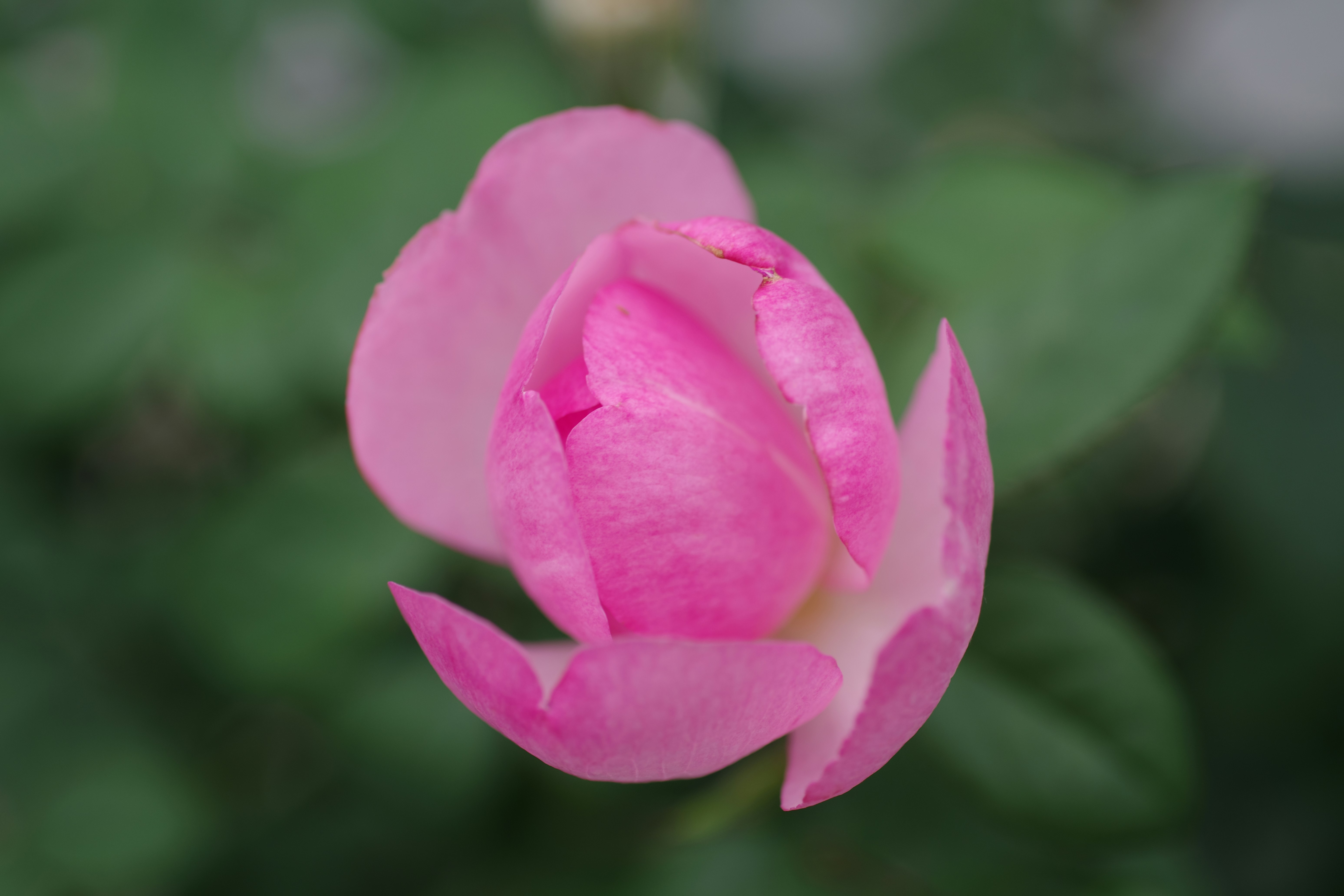 😱震驚！99%的人都做錯了！居家收納「暗黑真相」曝光！