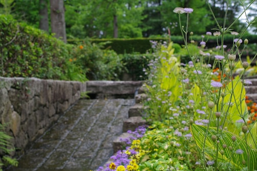 A garden filled with lots of flowers next to a stone wall