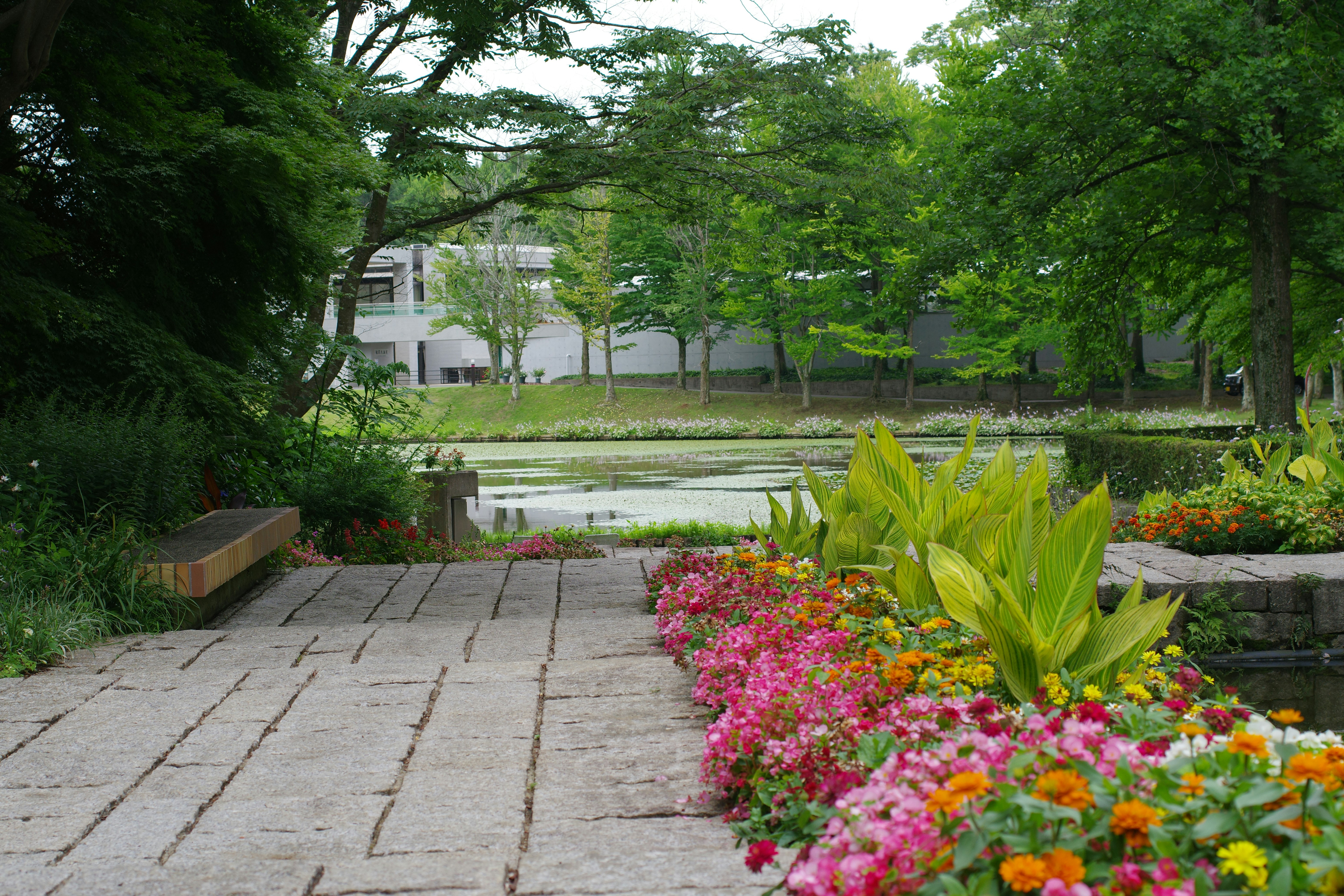 驚！9成人都做錯！居家清潔神招，黴菌哭著跑走！