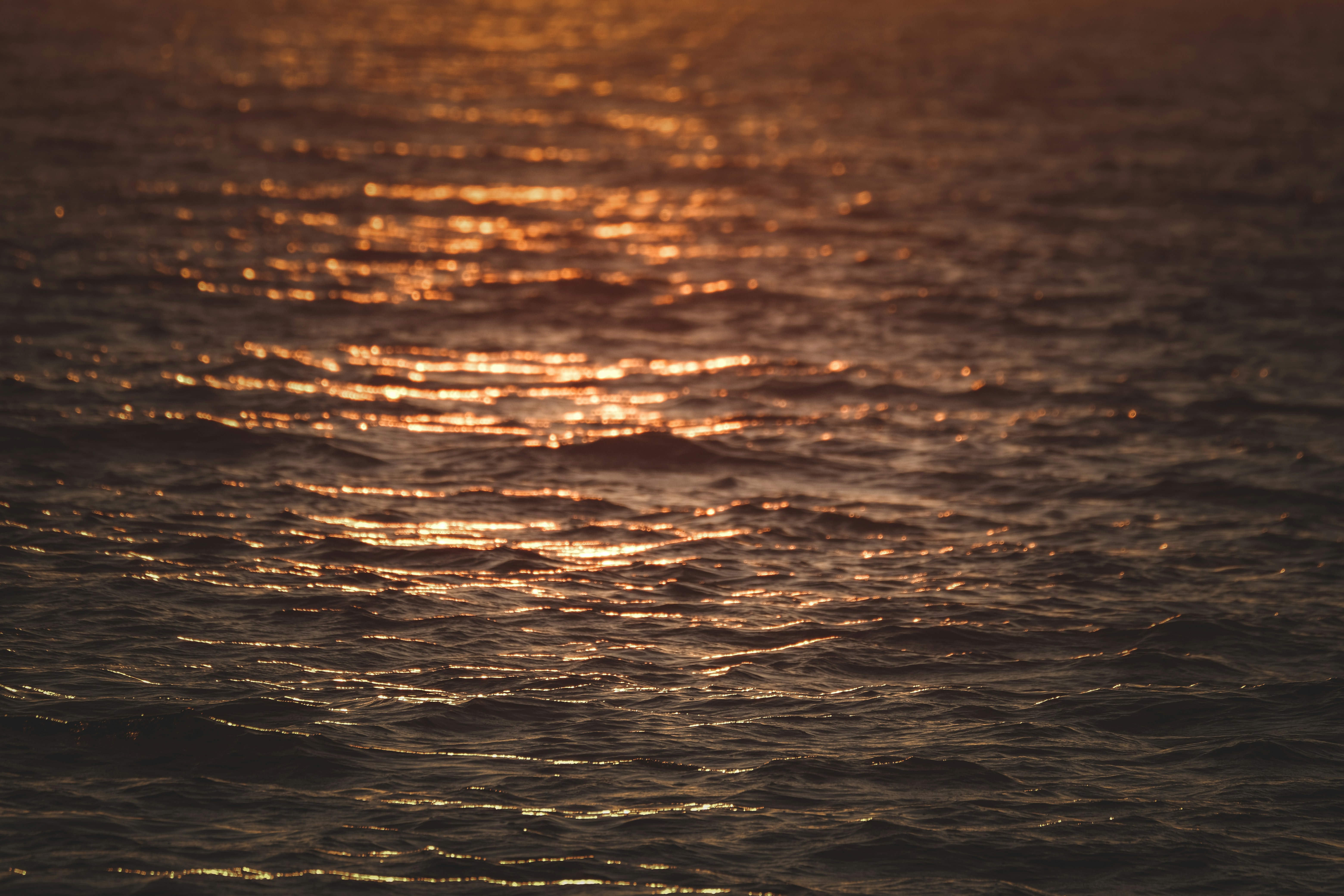 Photo by francesco_ungaro