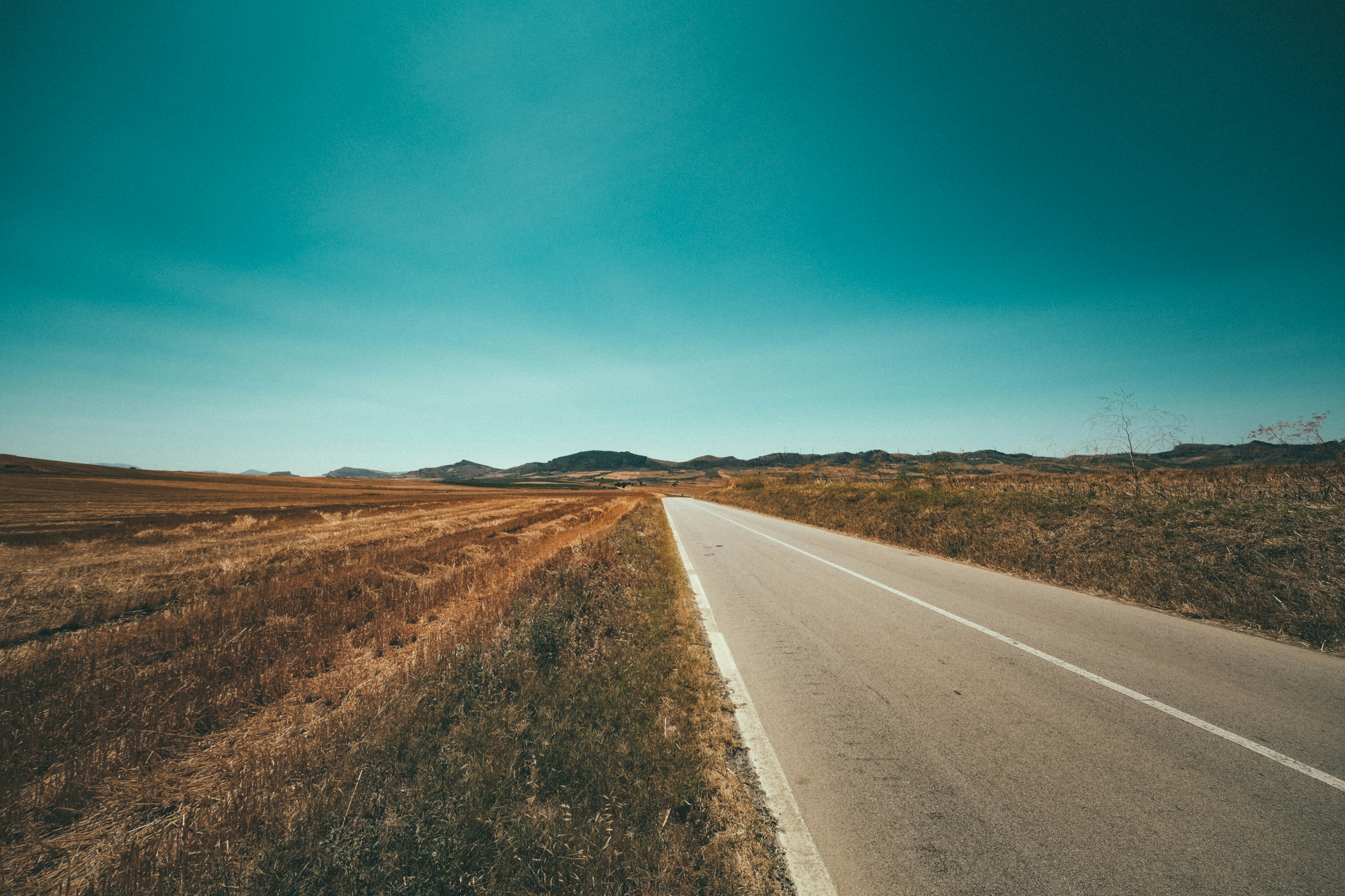 Photo by francesco_ungaro