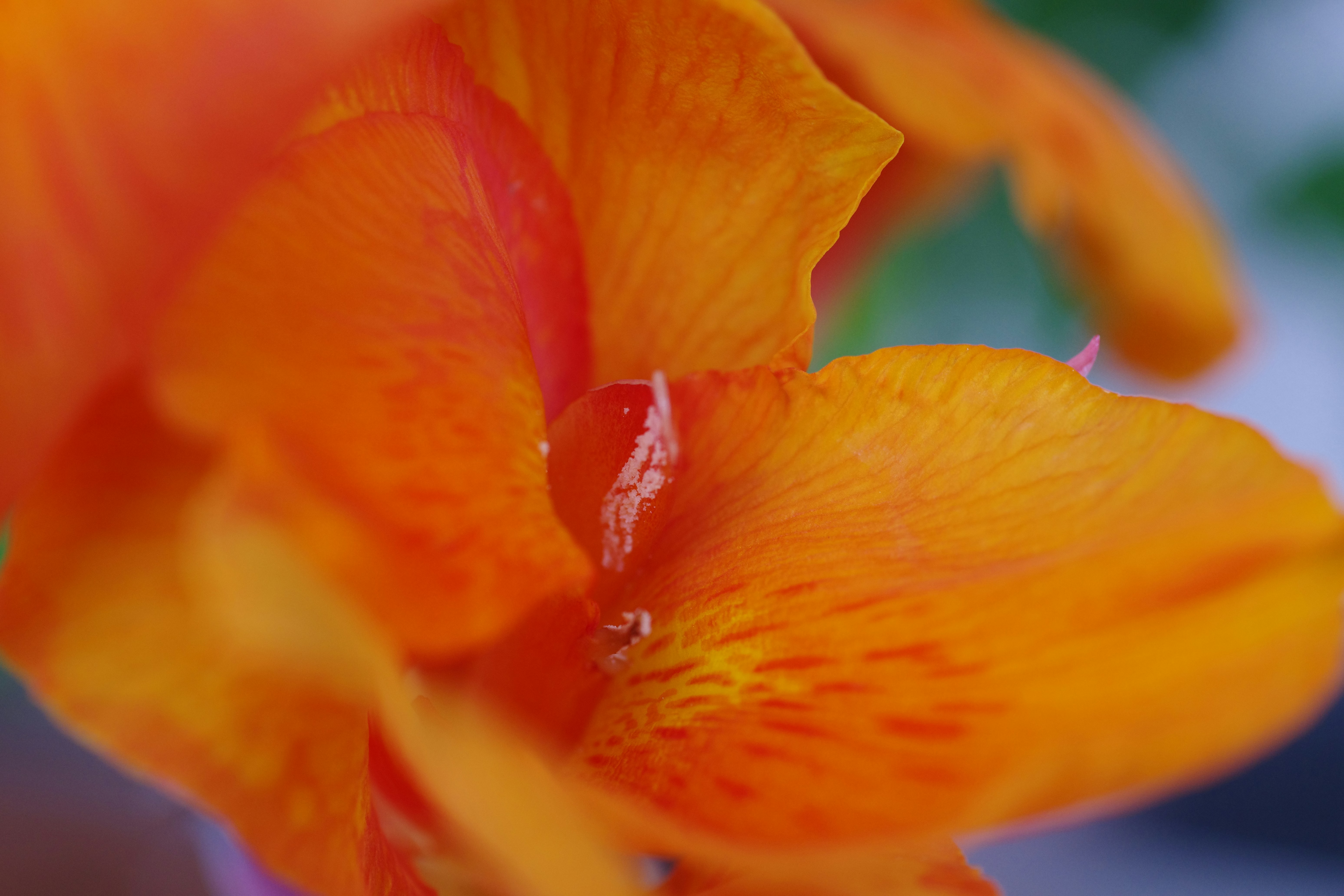 The Art of Philanthropy Among Luxury Property Owners: Making a Difference in 2024