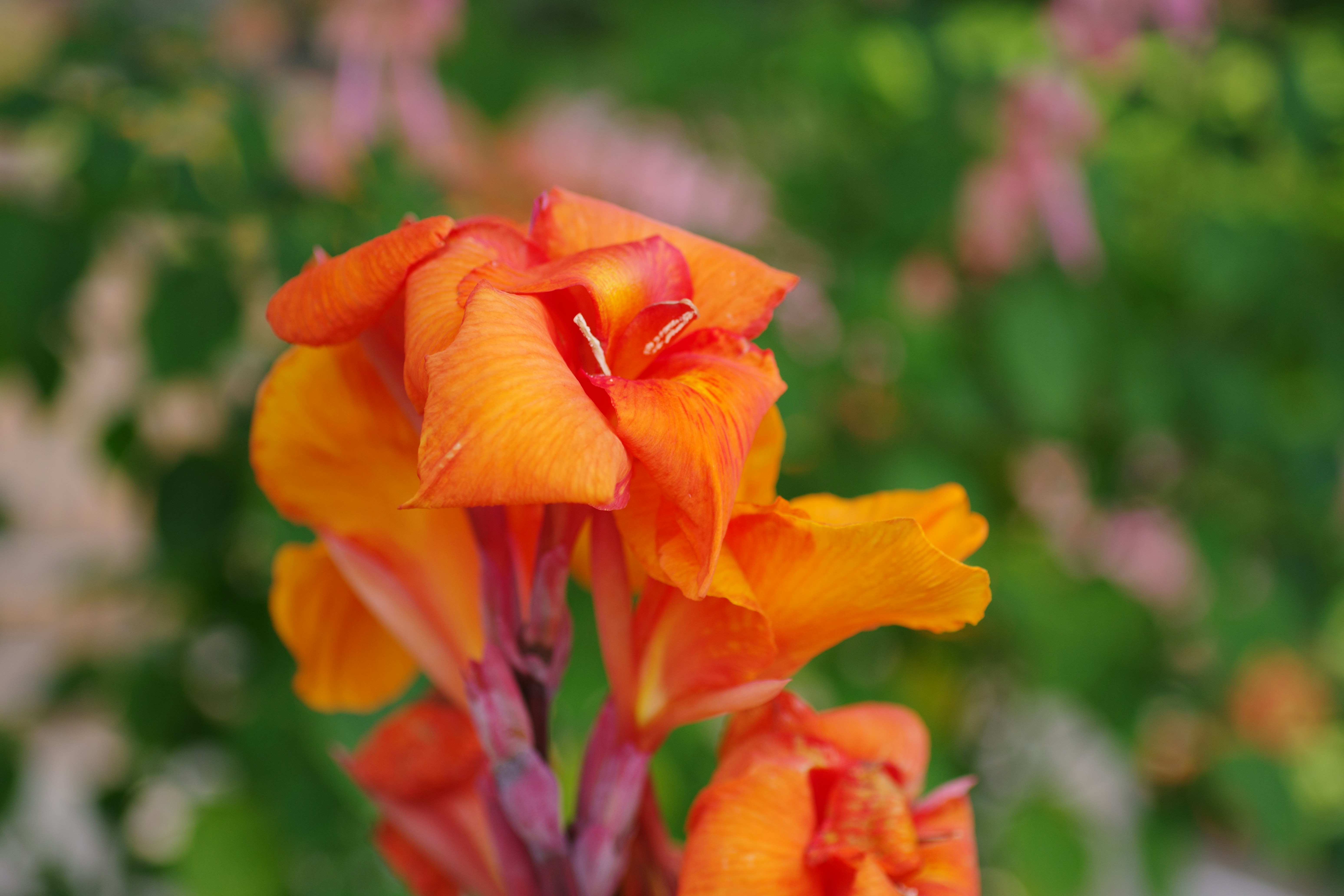 震驚！婆媽瘋搶！這款家電竟是「懶人救星」？！