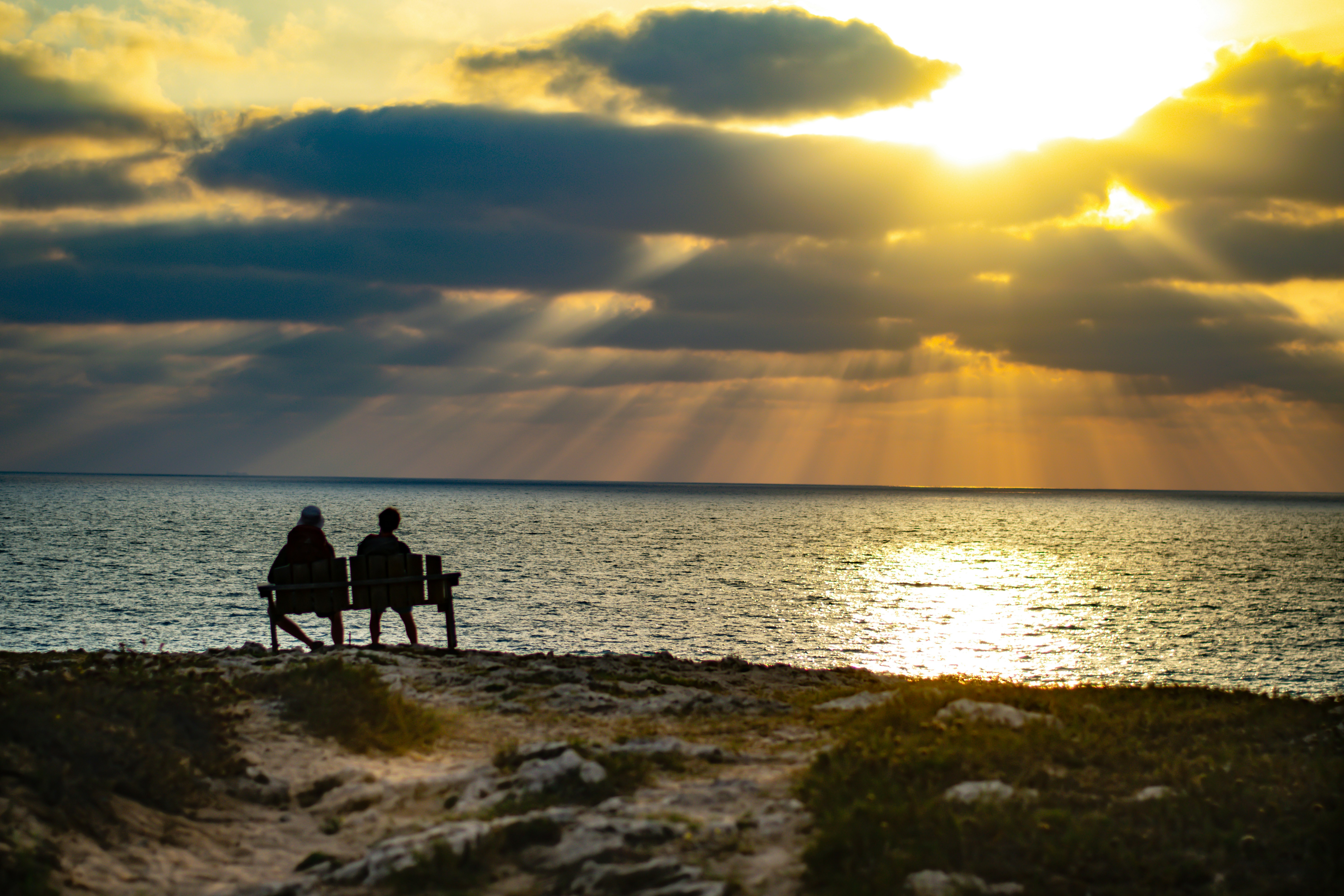 Two people sitting on a bench looking out at the ocean