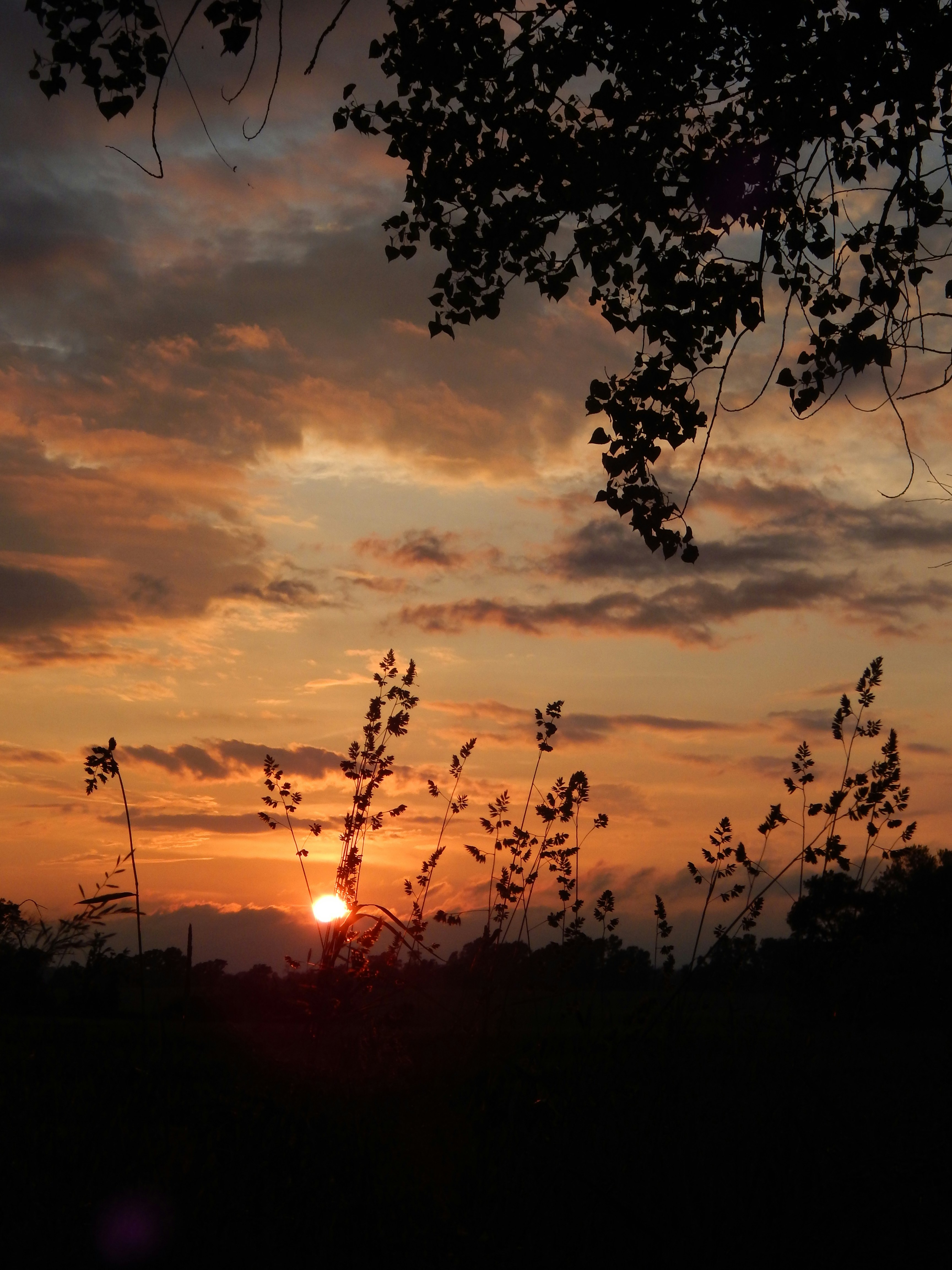 Photo by scarlettweiss