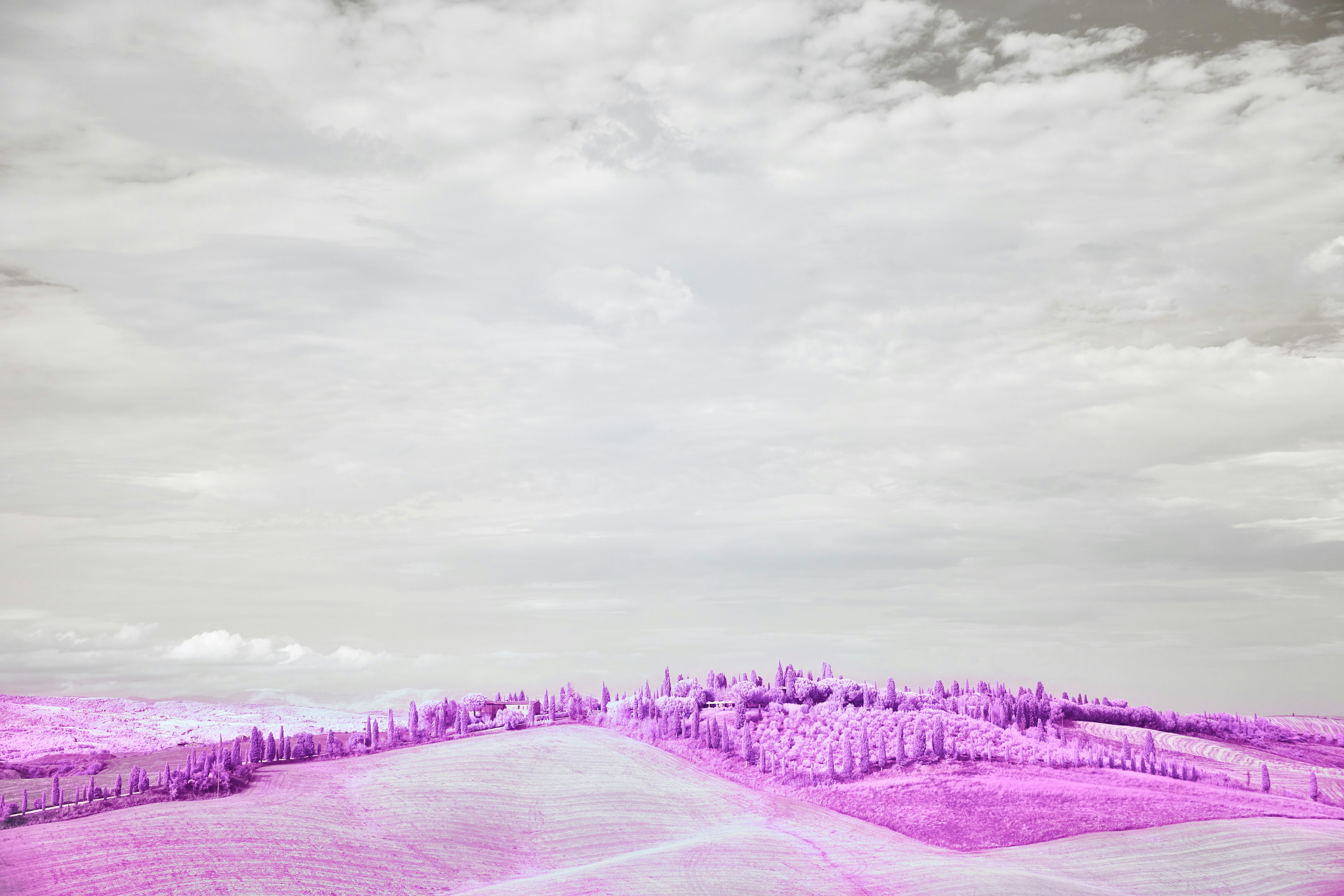 Achieving Excellence in Quality Assurance Through Cutting-Edge Tools in 2025