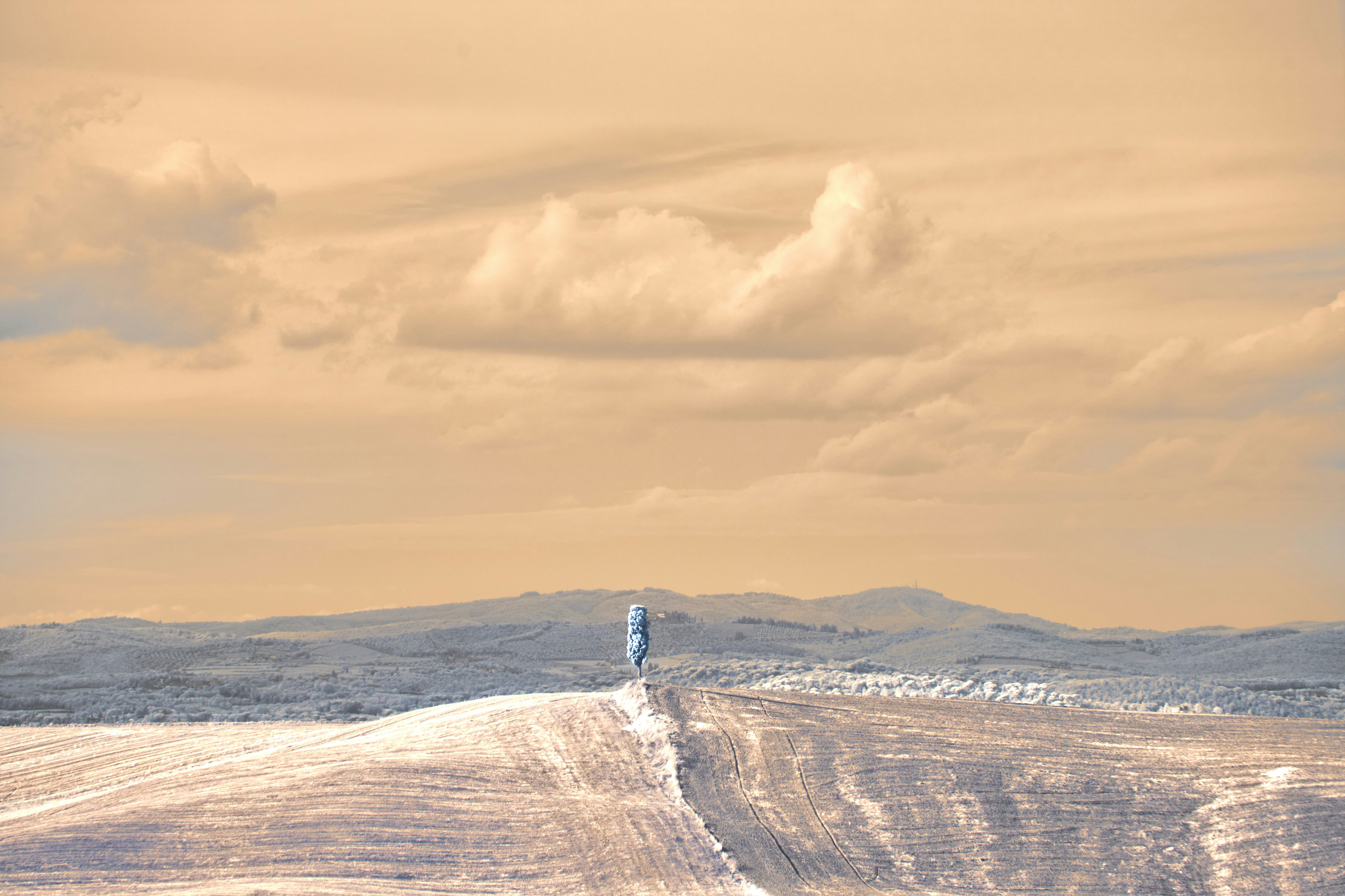 Photo by wolfgang_hasselmann