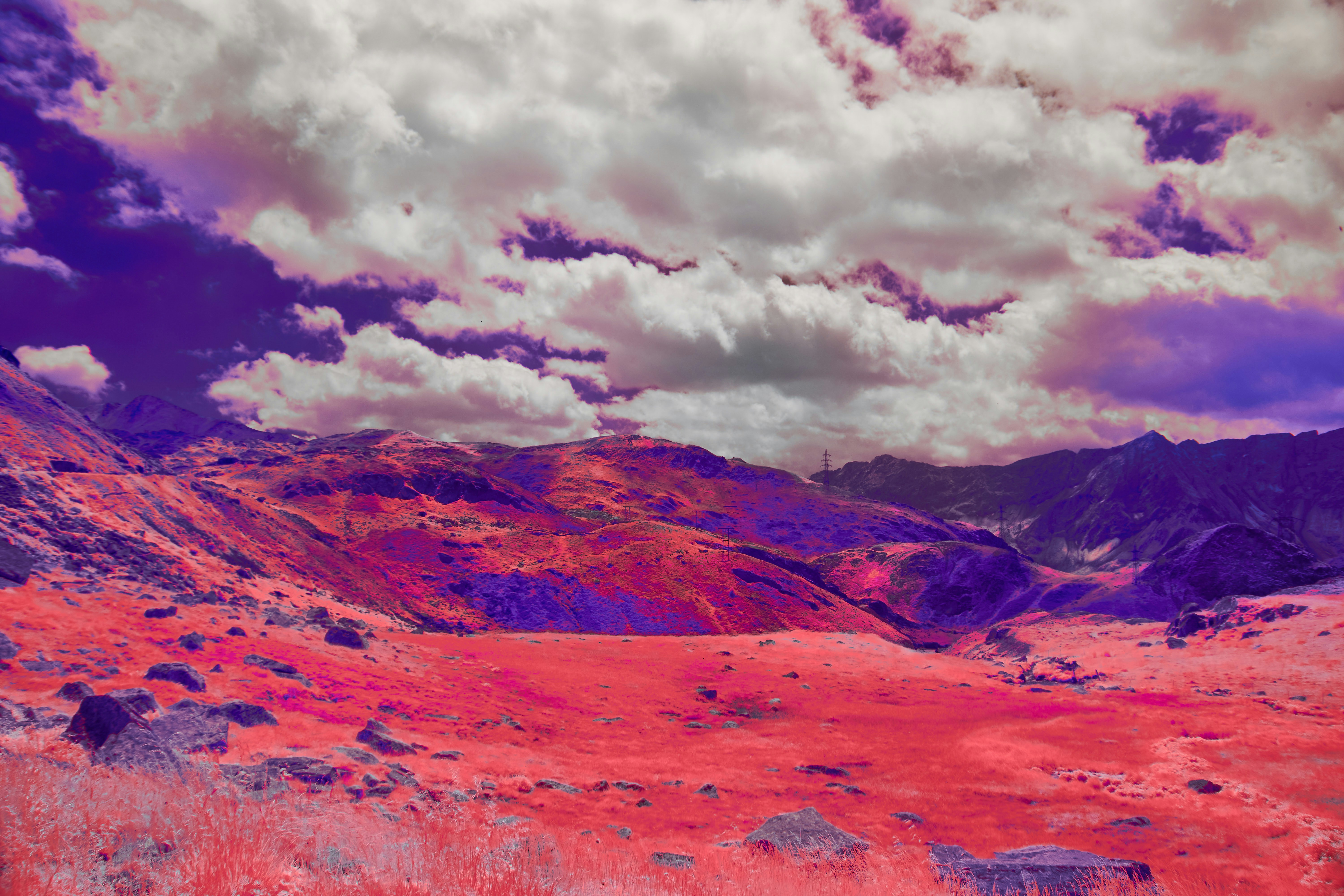 Photo by wolfgang_hasselmann