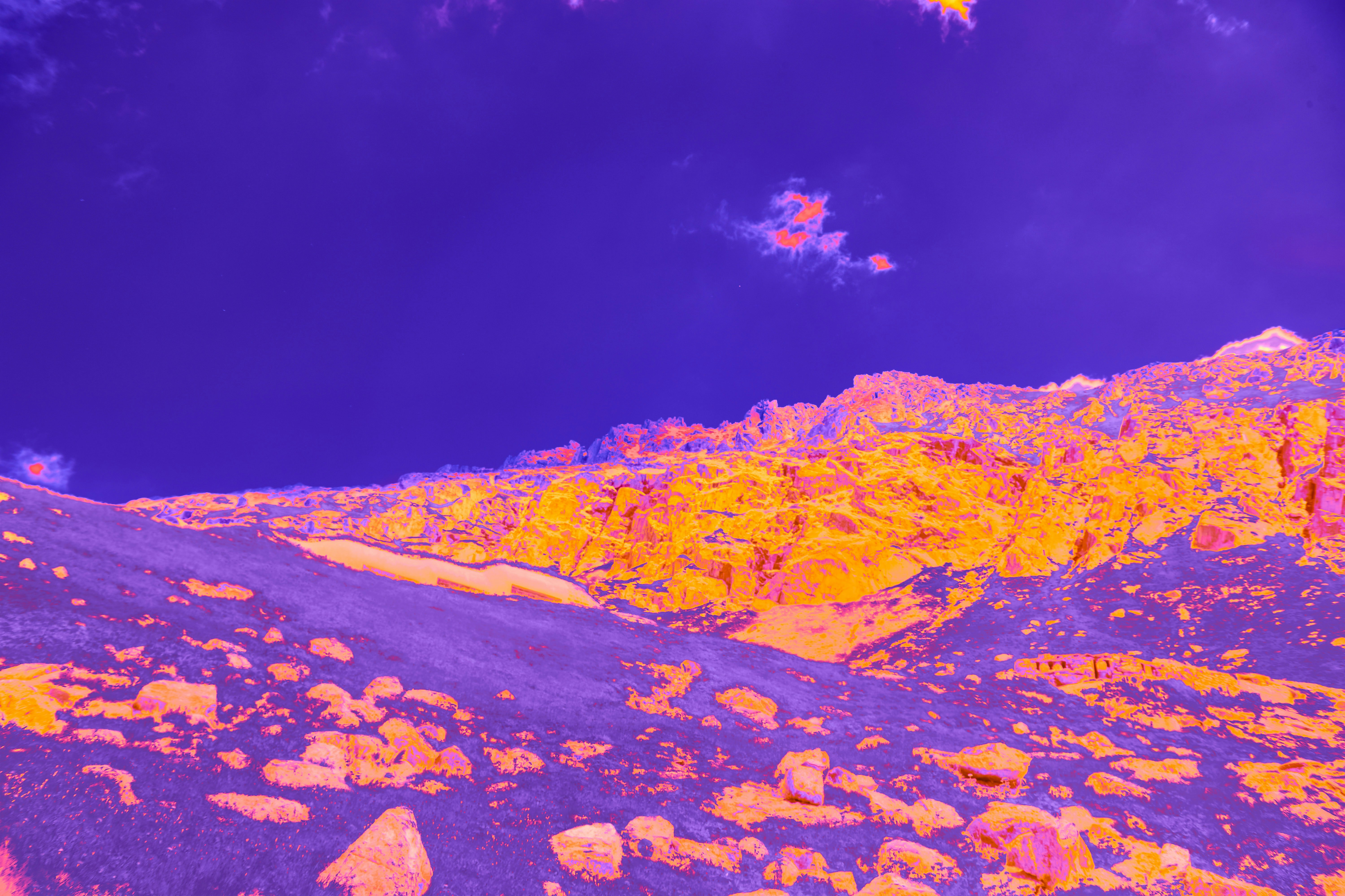 Photo by wolfgang_hasselmann