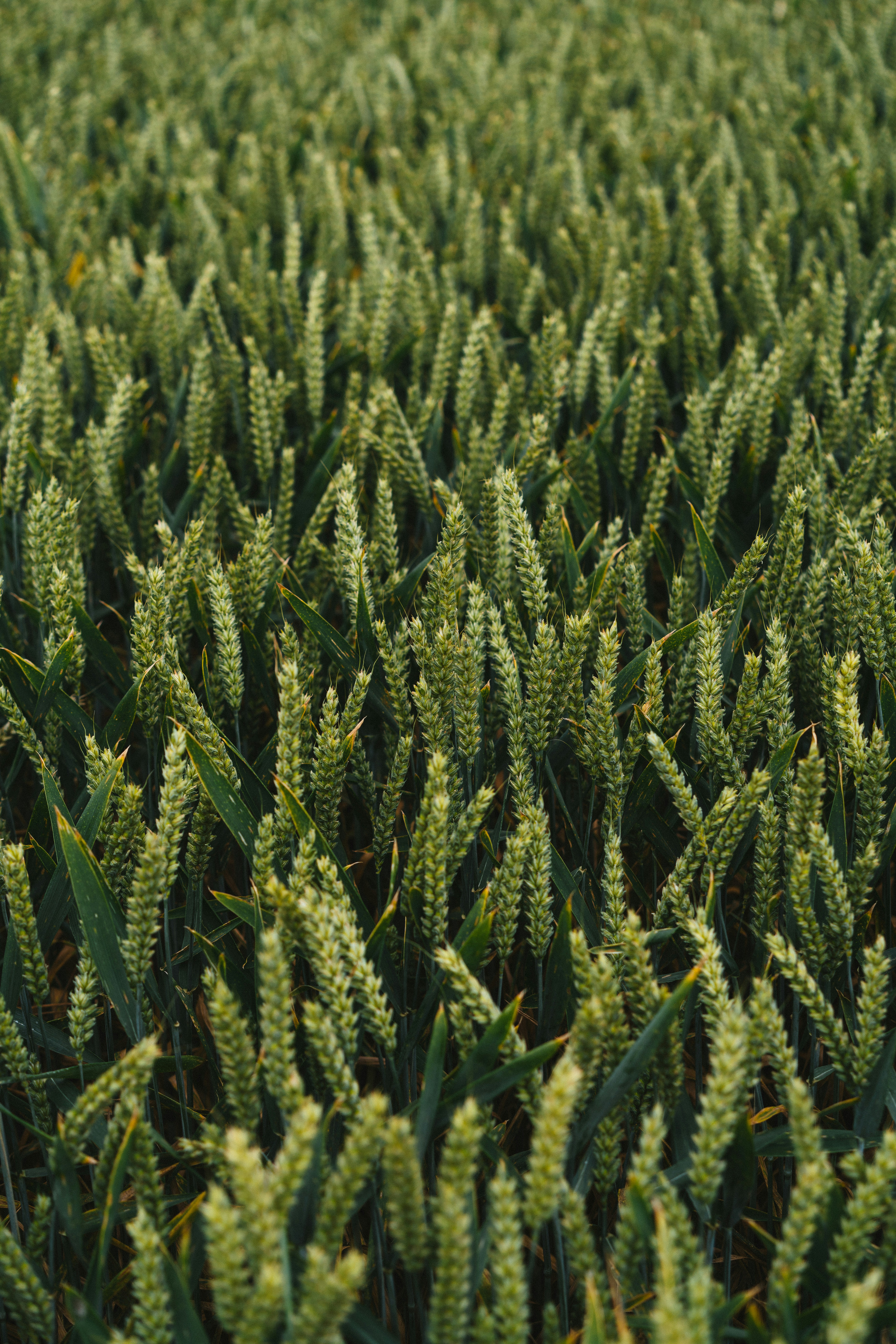 Photo by philhearing