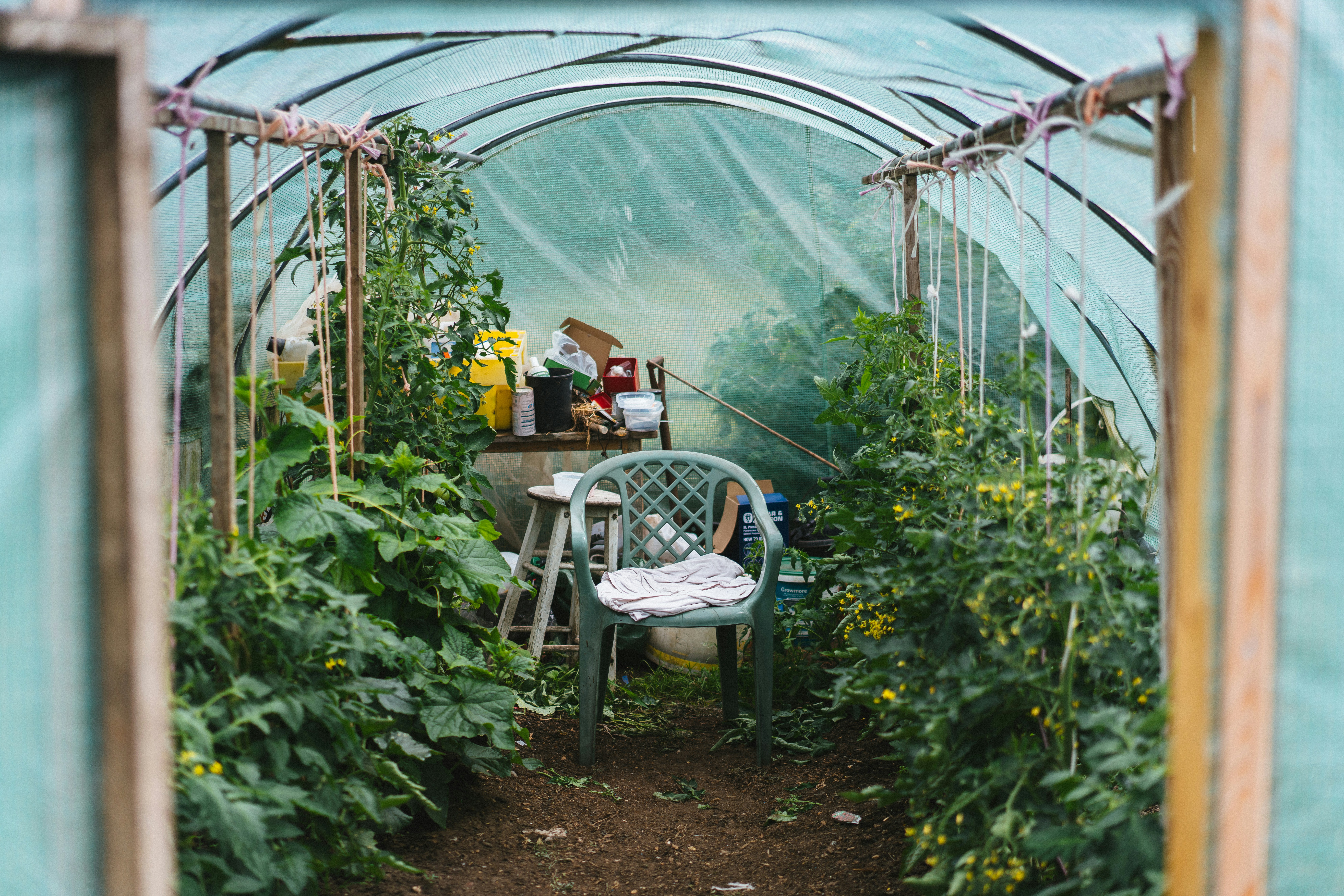 Photo by philhearing