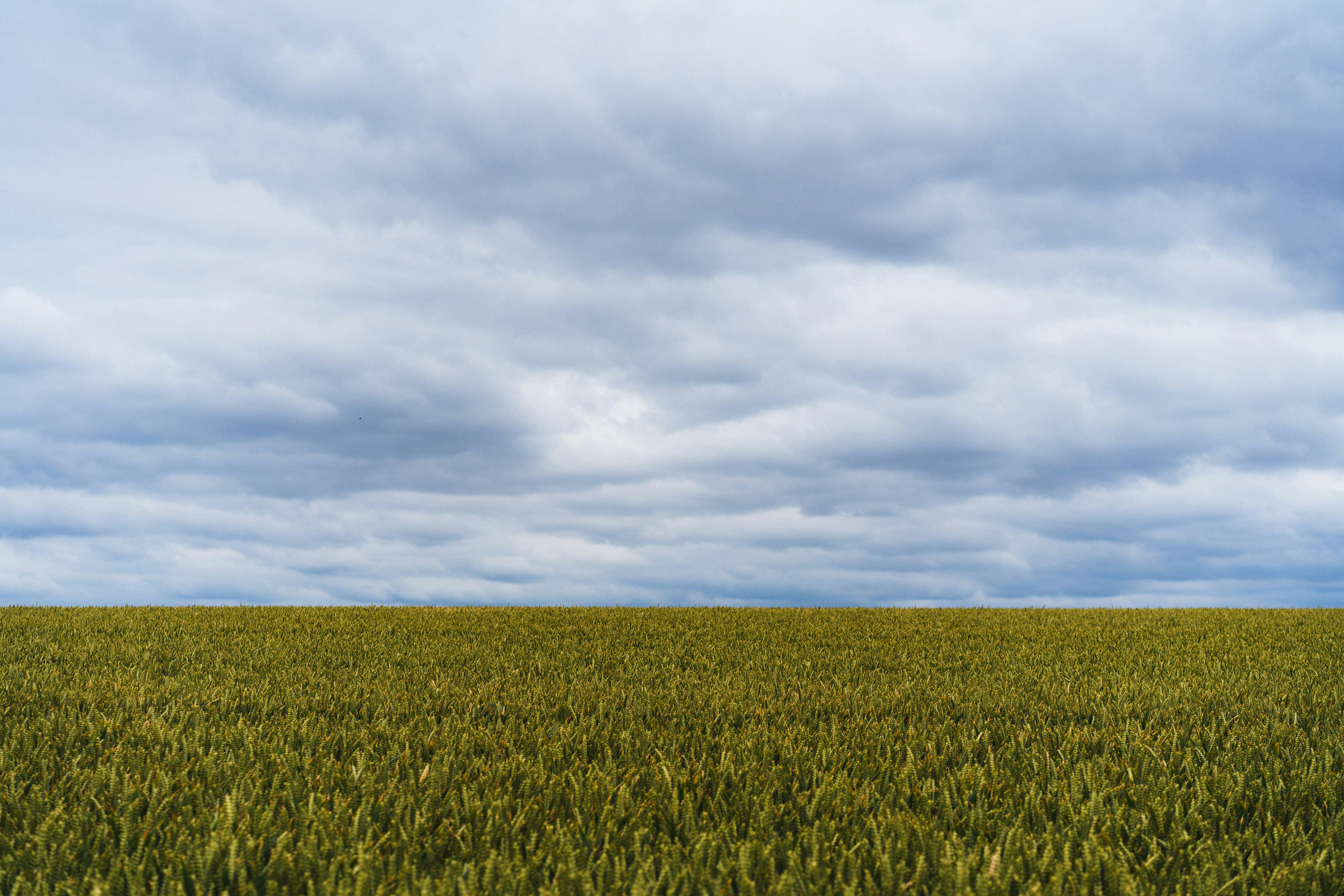 Photo by philhearing