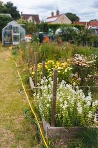 A garden filled with lots of different types of flowers