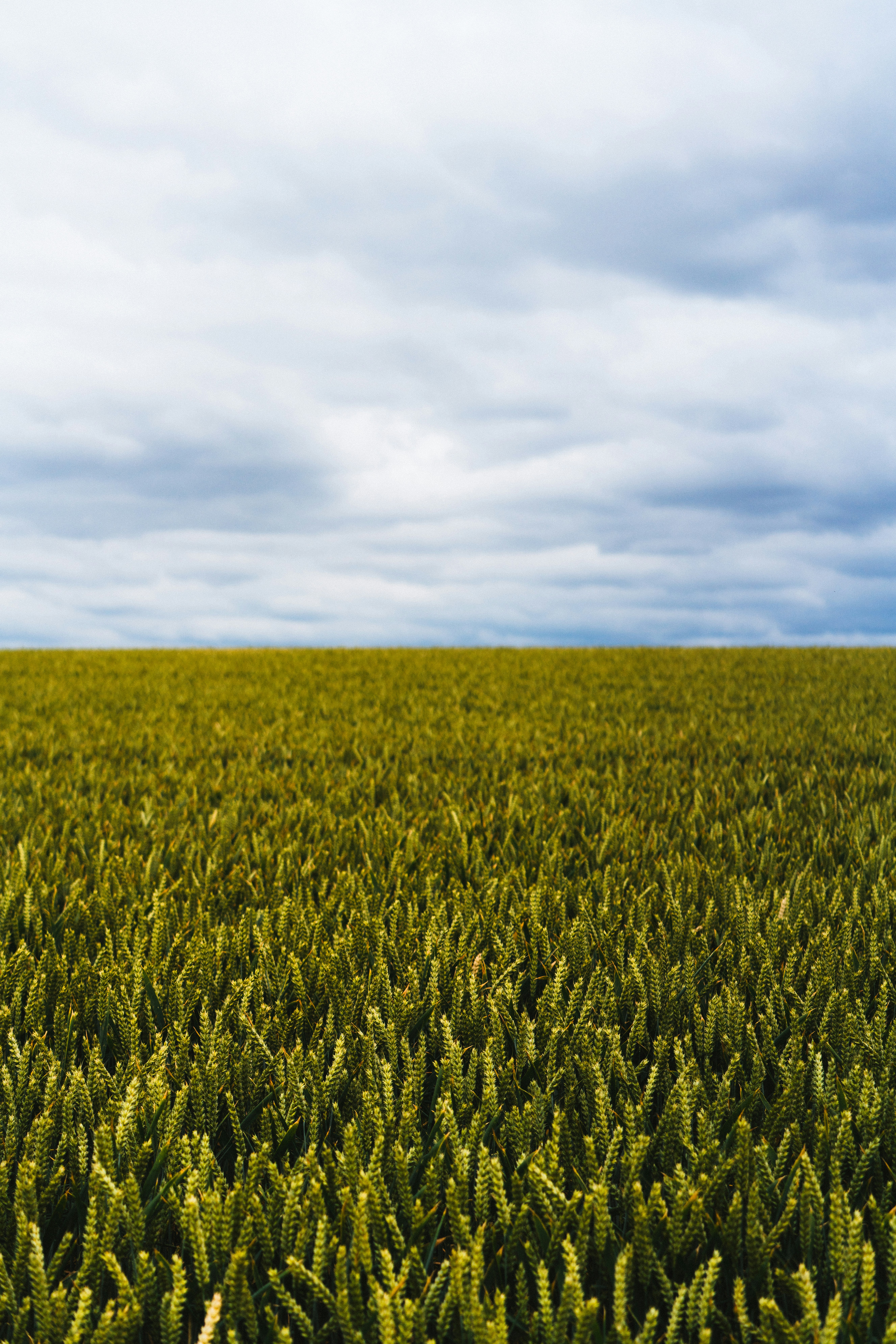 Photo by philhearing