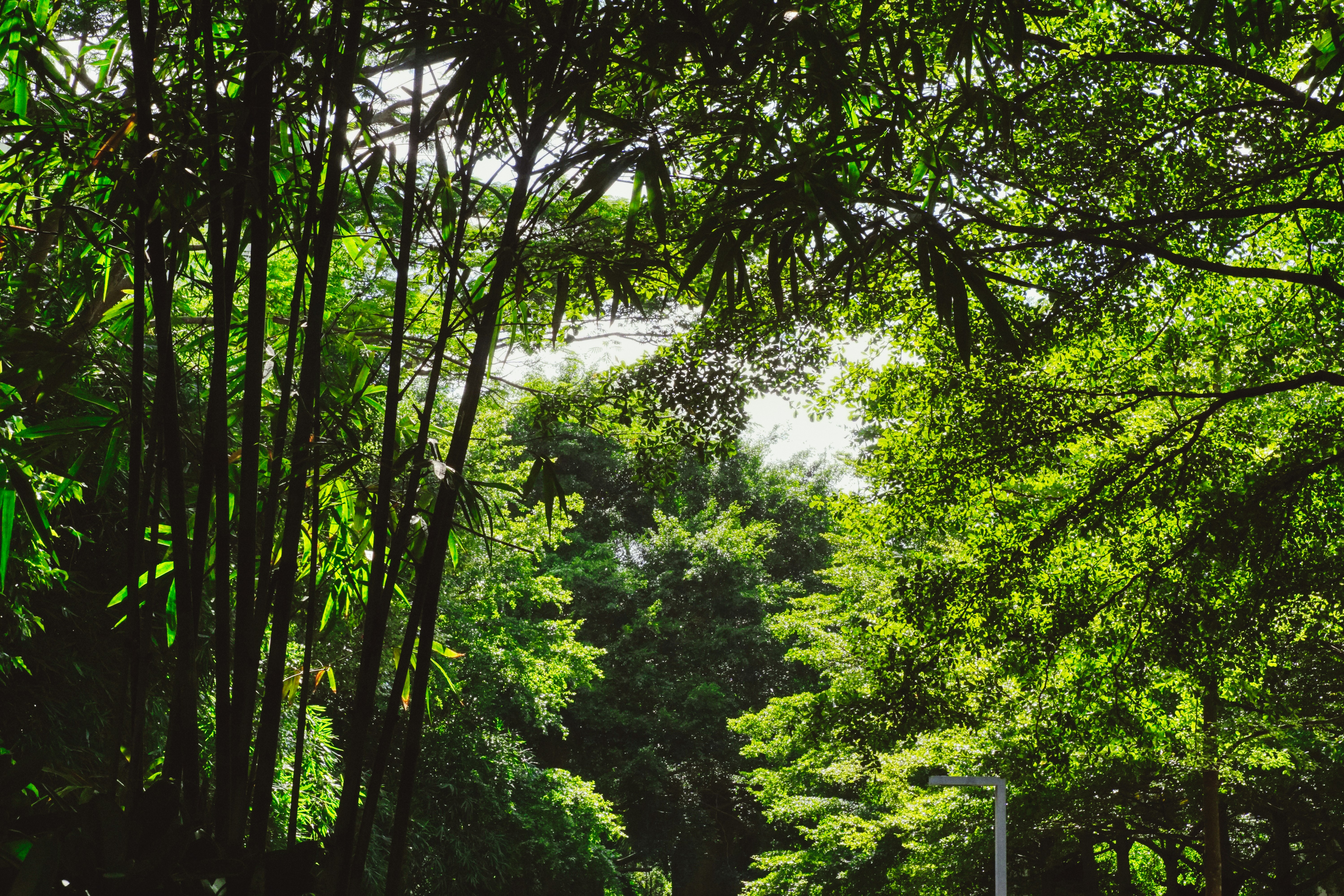 Photo by thomaskinto