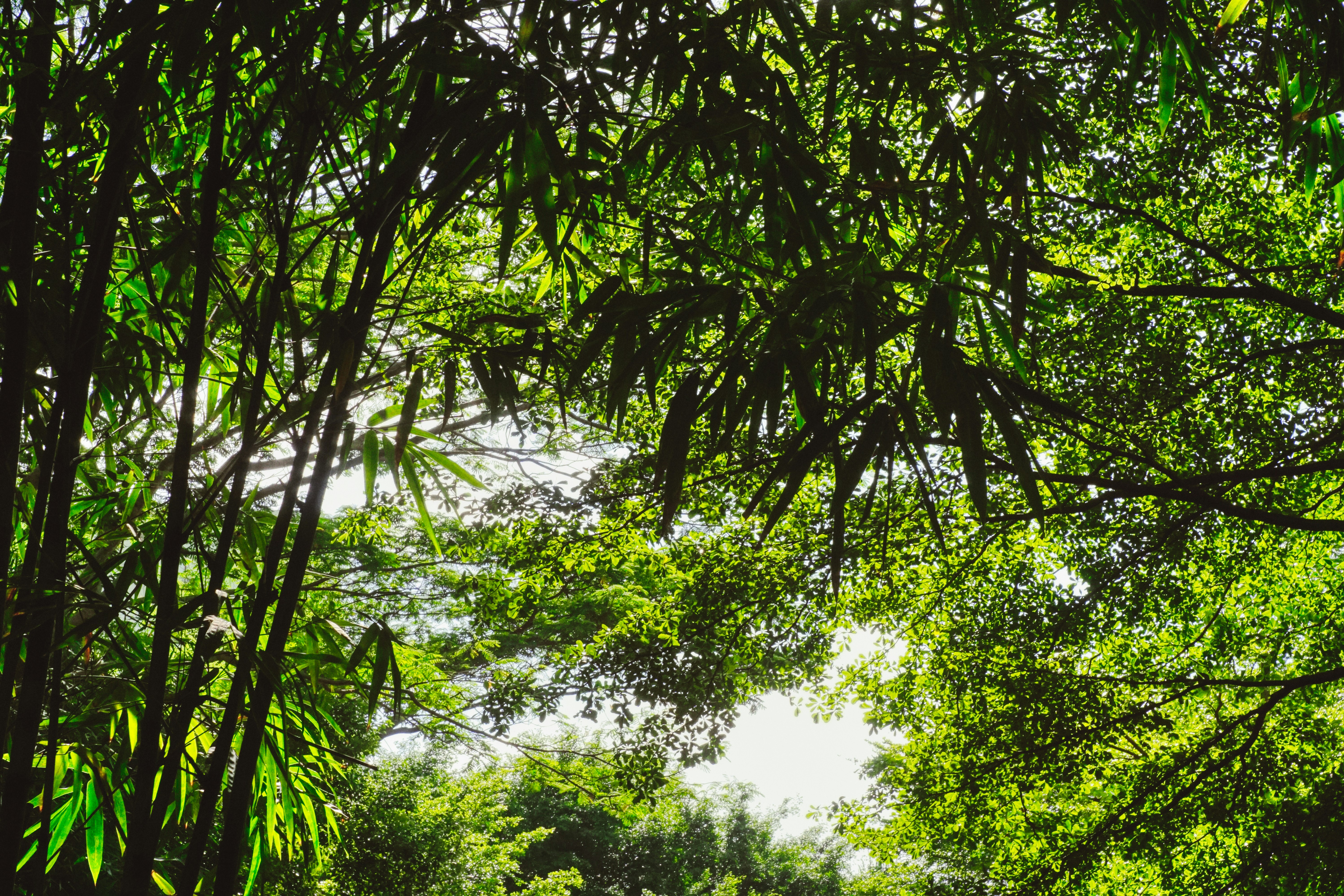 Photo by thomaskinto