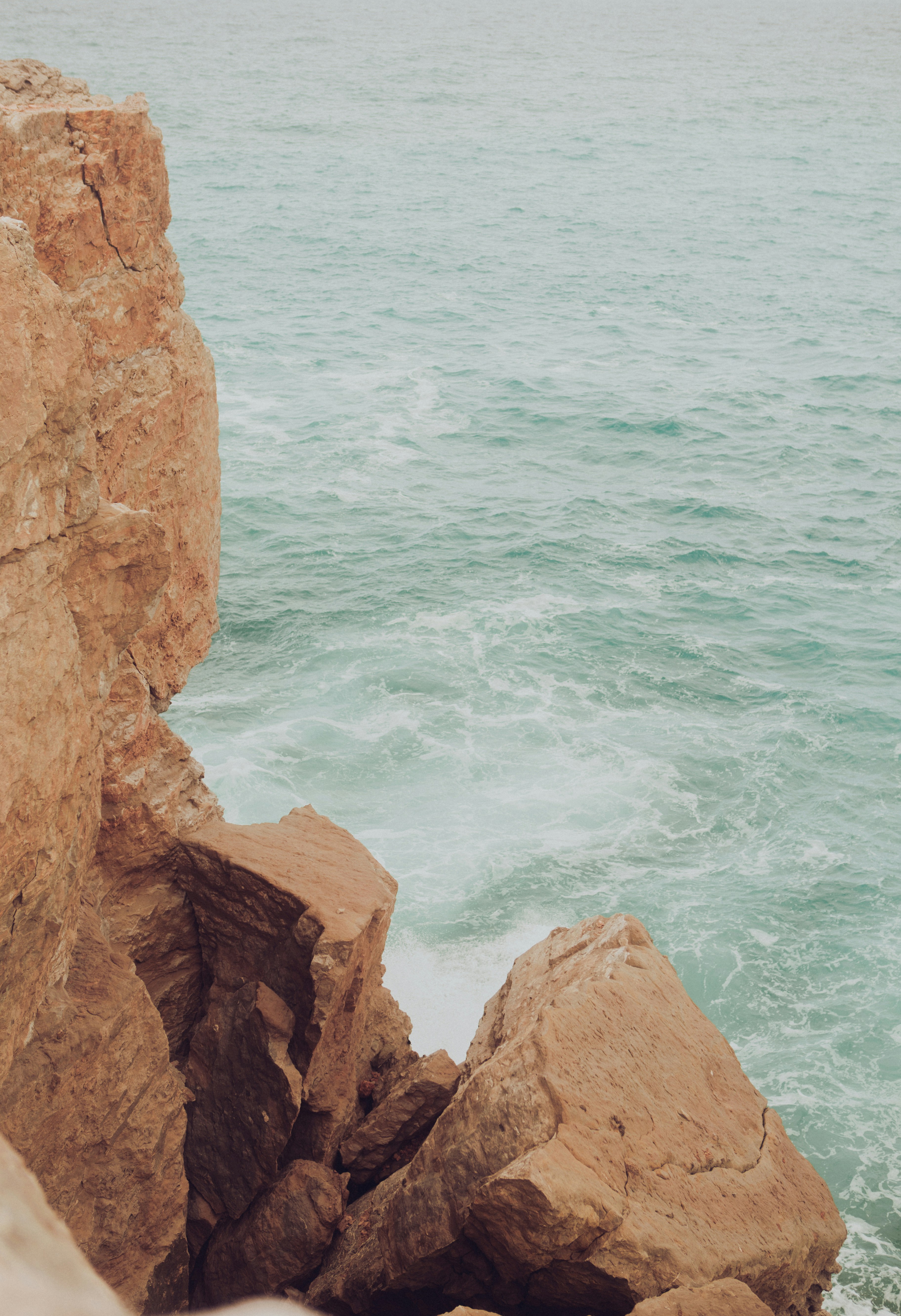 Photo by raymondpetrik