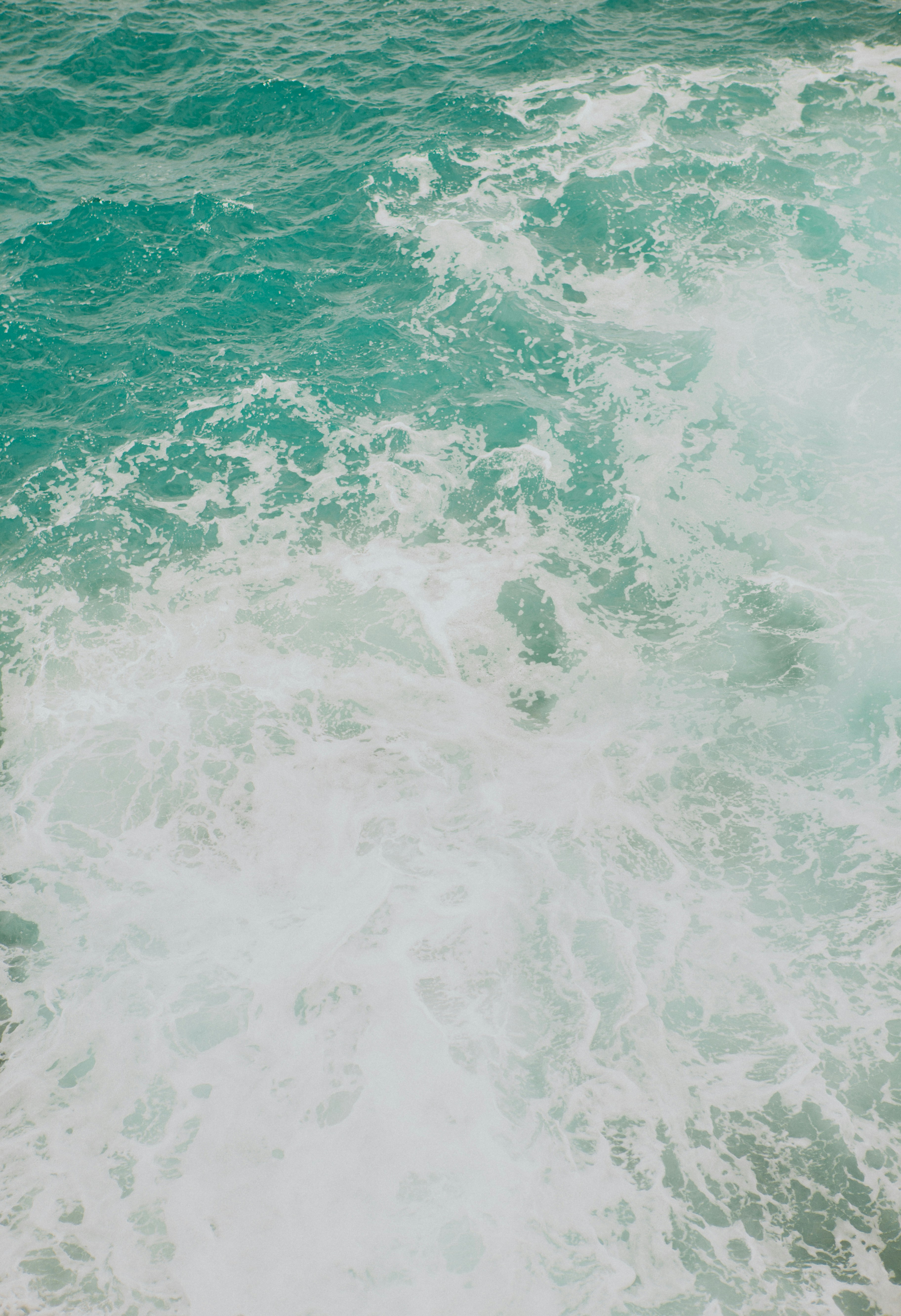 Photo by raymondpetrik