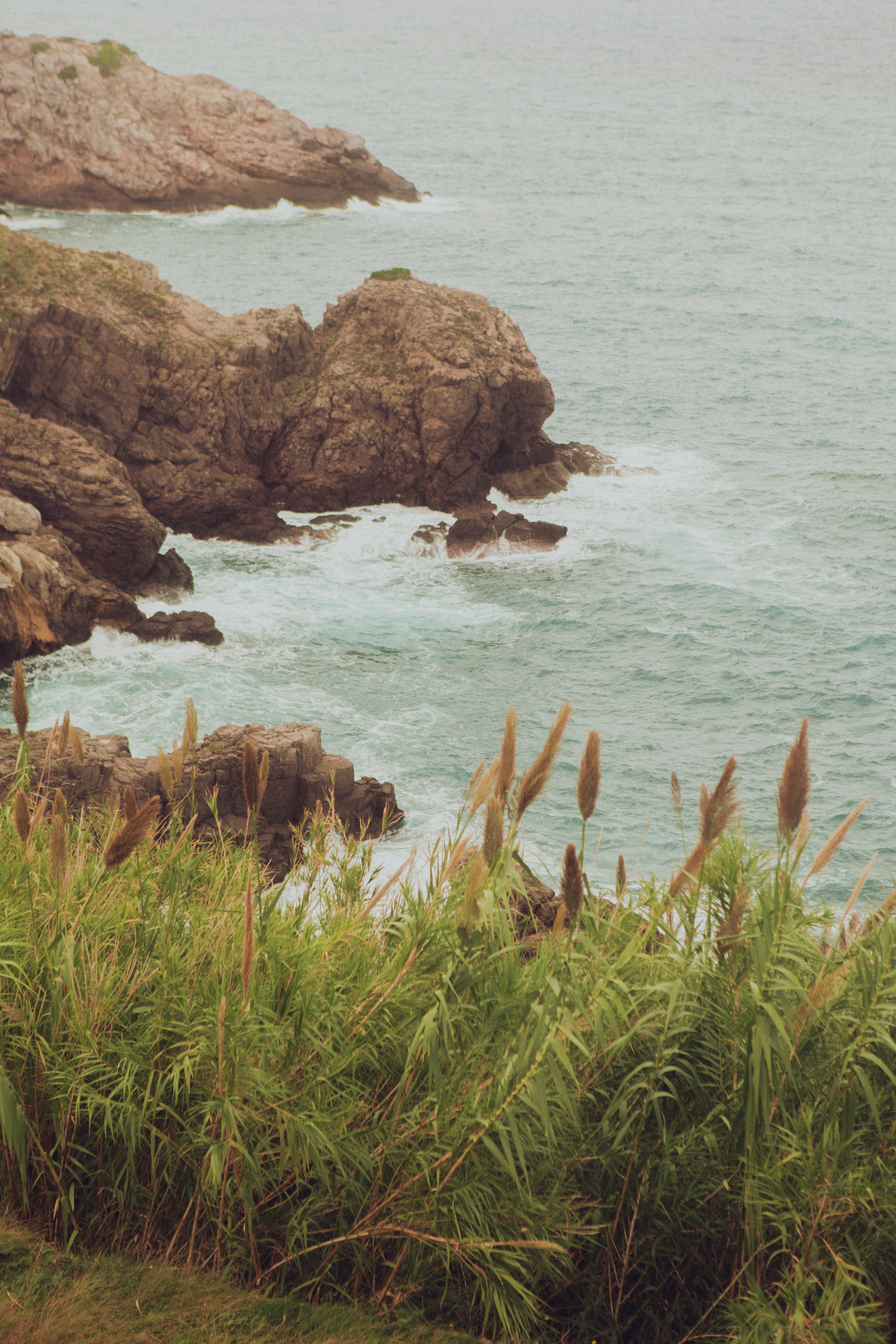 Photo by raymondpetrik