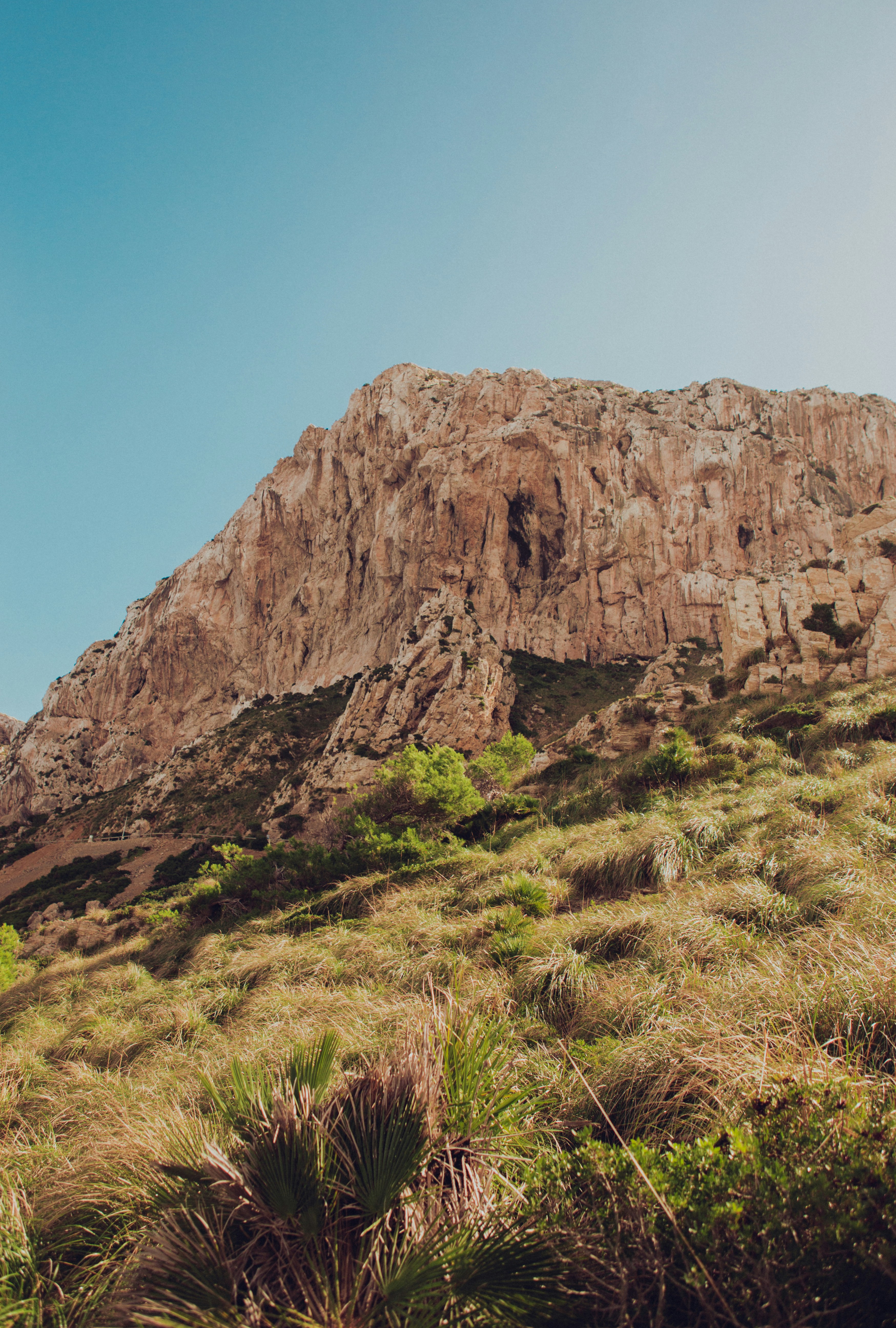 Photo by raymondpetrik