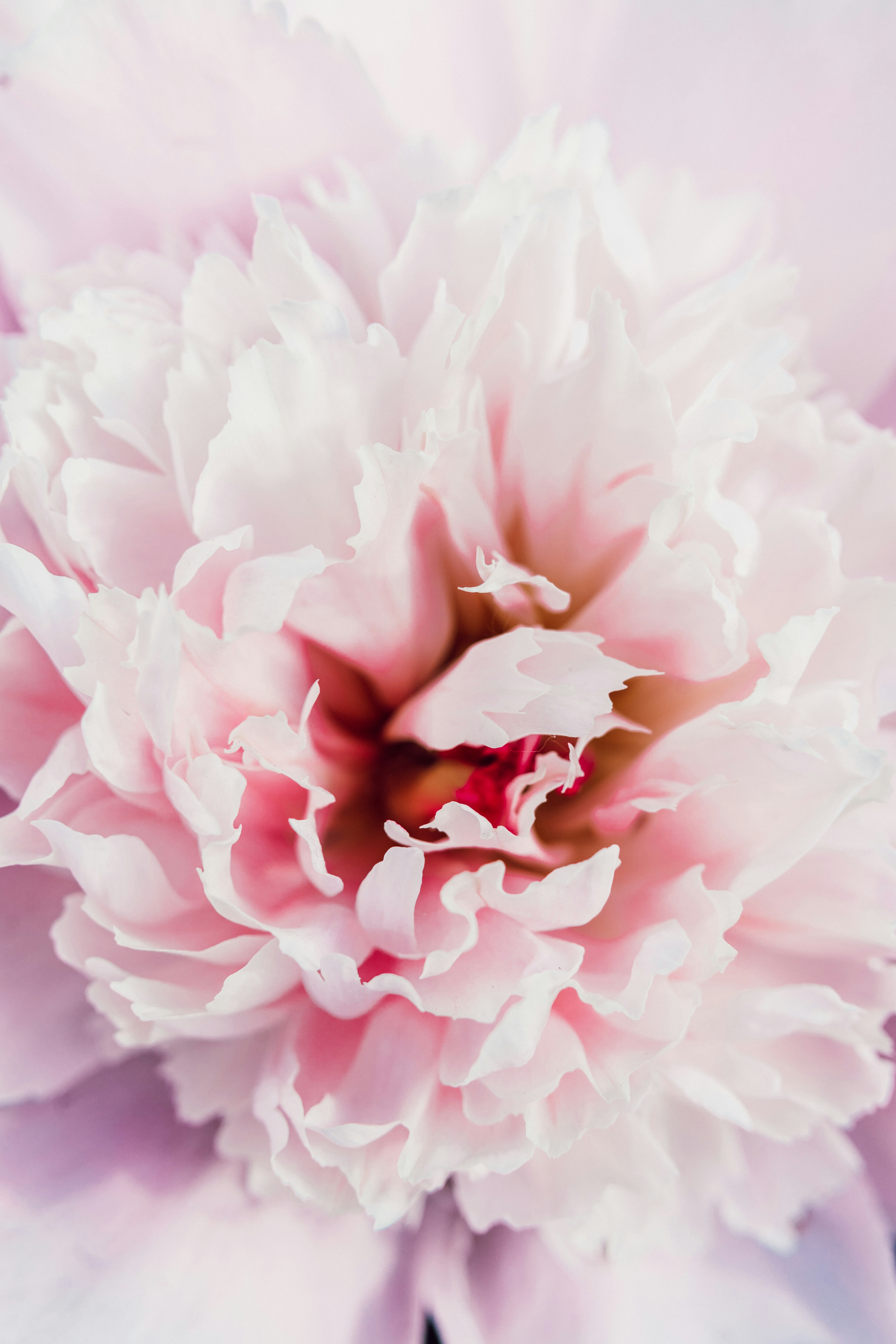 Photo by anamnesis33