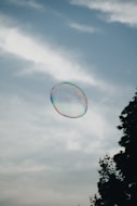 A soap bubble floating in the air near a tree