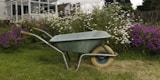 A wheelbarrow sitting in the middle of a garden