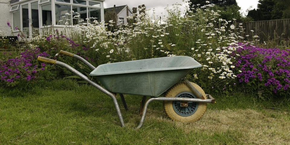 A garden wheelbarrow parked on the lawn beside a flowering border