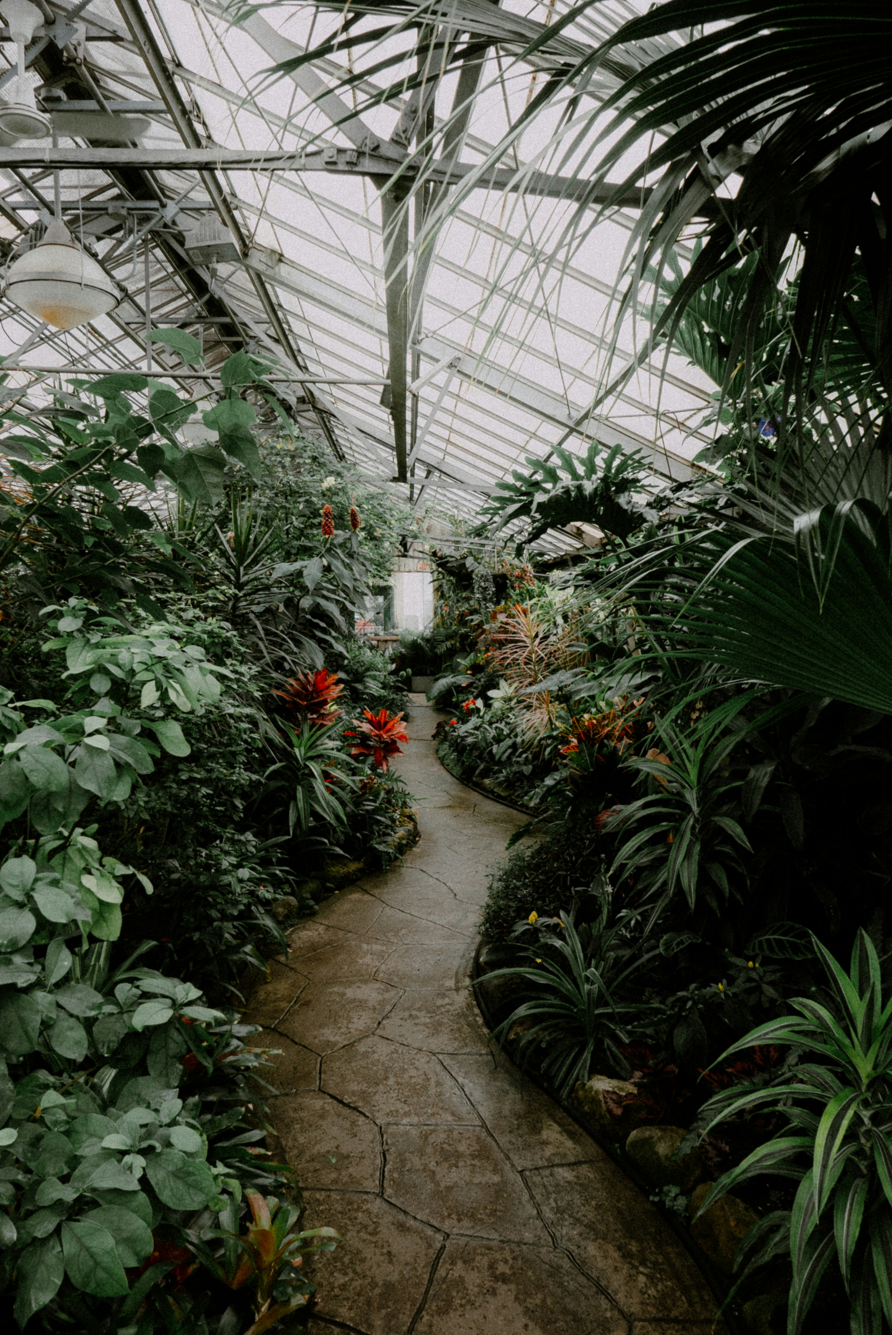 Photo by vitalymazur