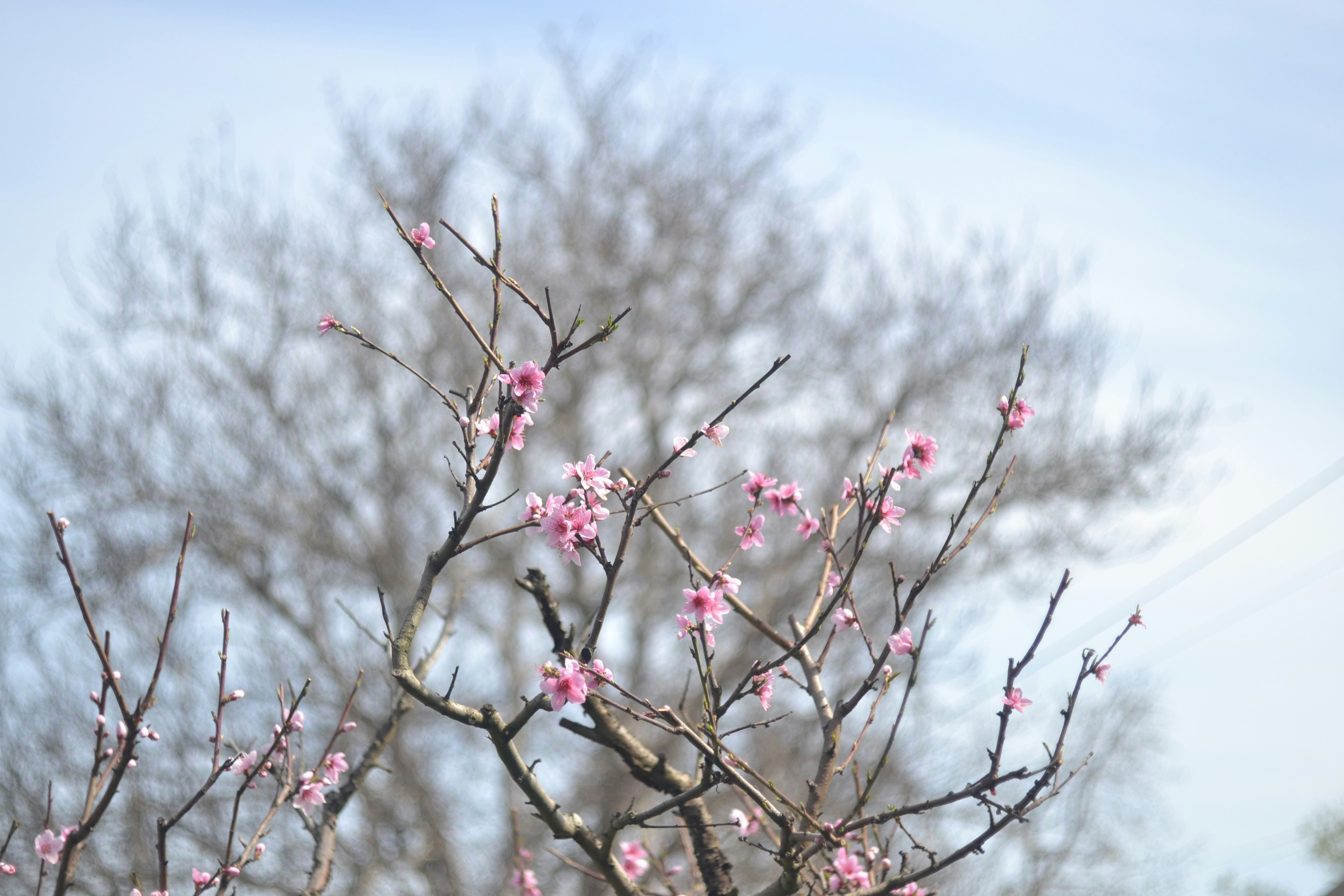 Photo by constanspero