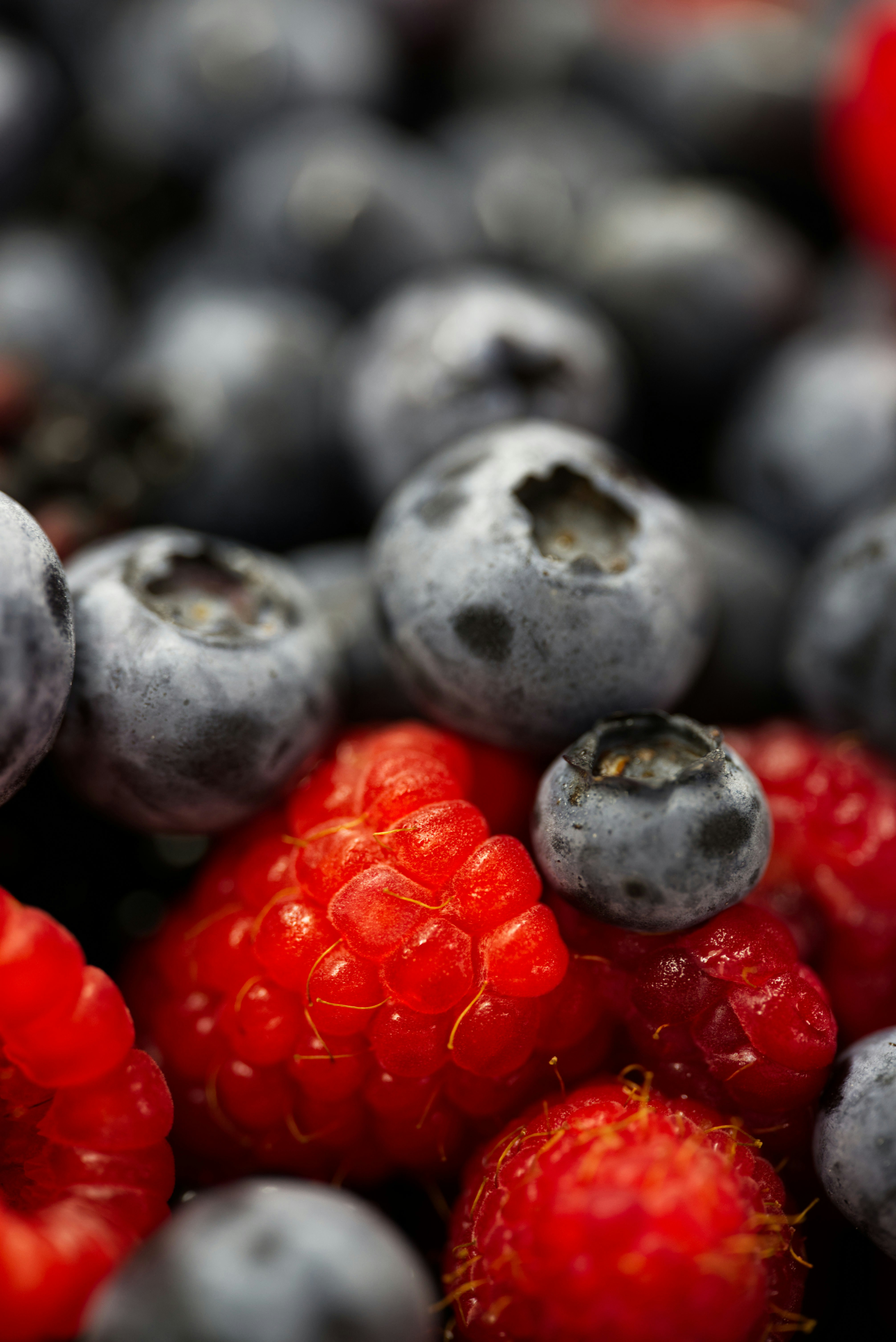 Photo by swimstaralex