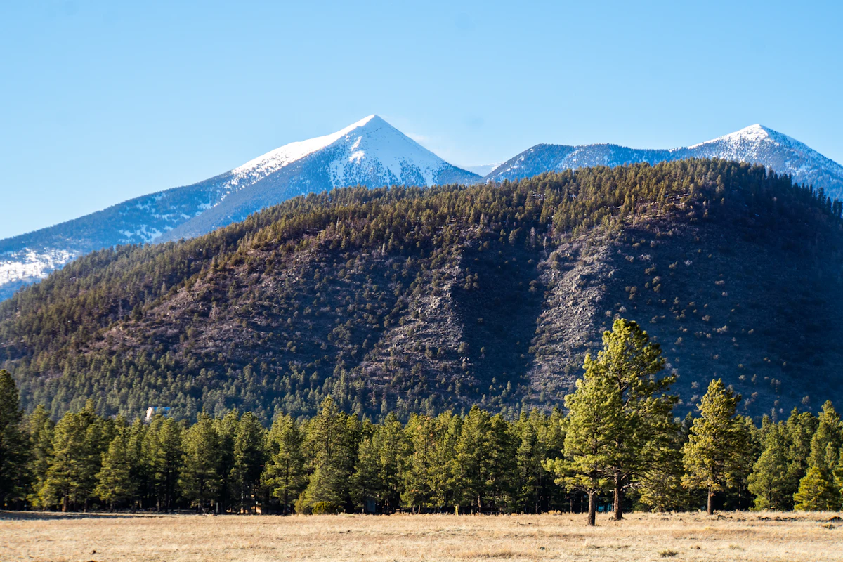 Snowy peaks above a pine-covered hill and a meadow at Flagstaff