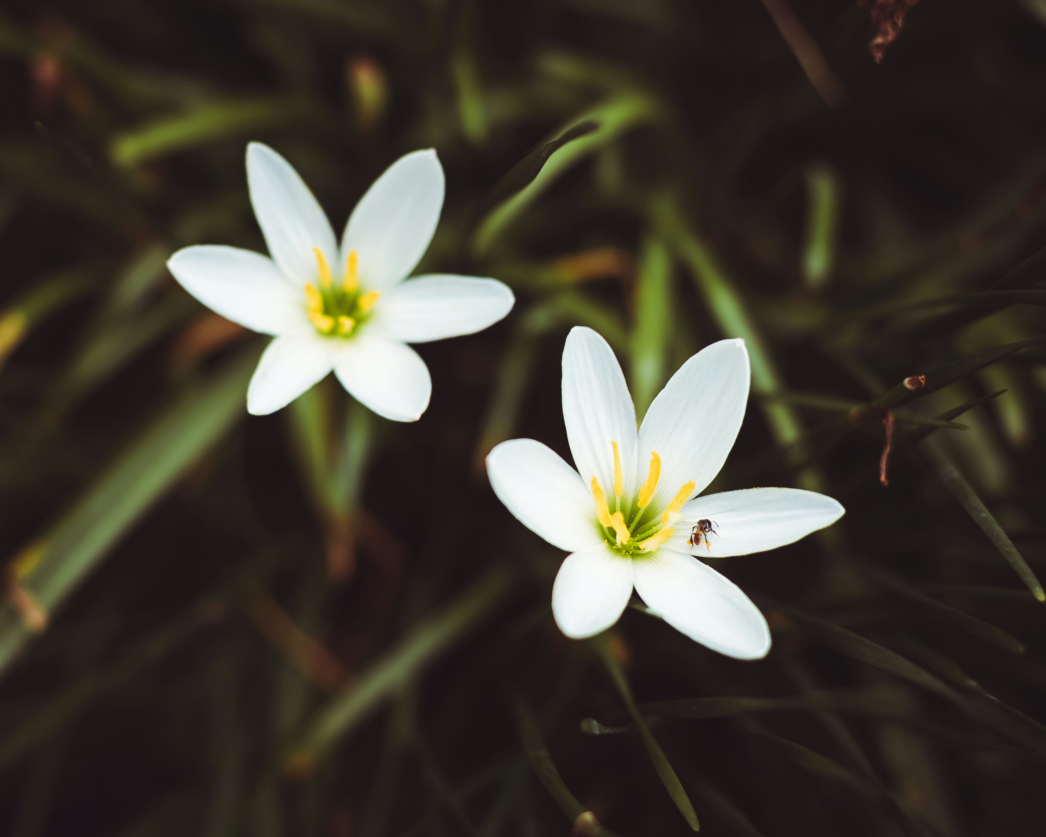 Photo by oscar_herenj