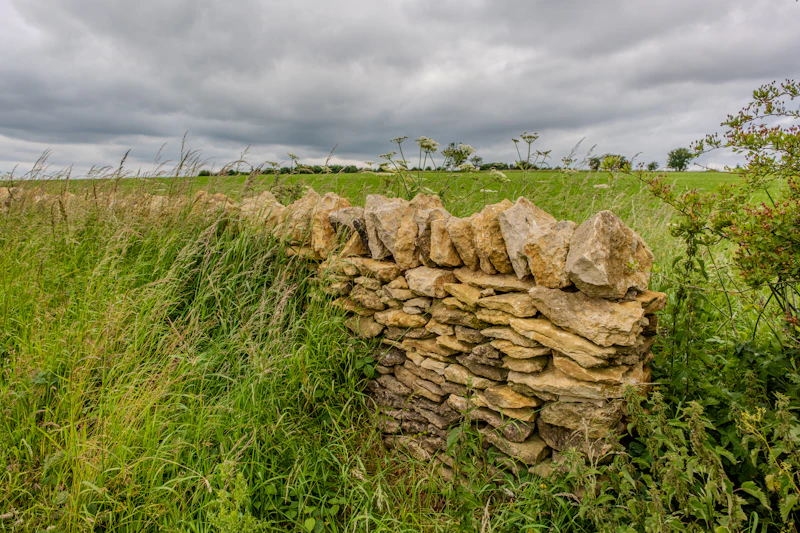 Natural dry-stone wall in a meadow setting