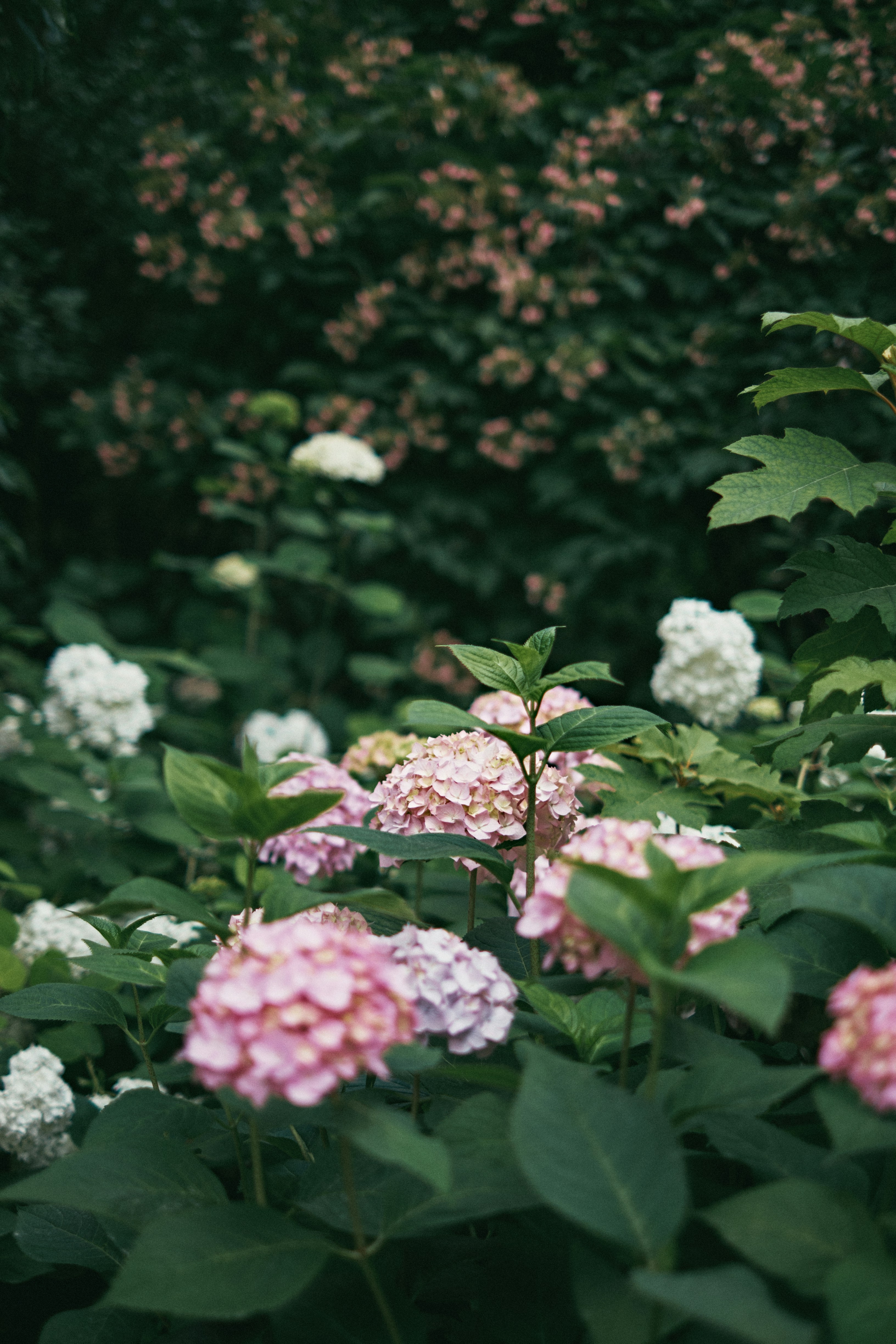 Photo by jasper95