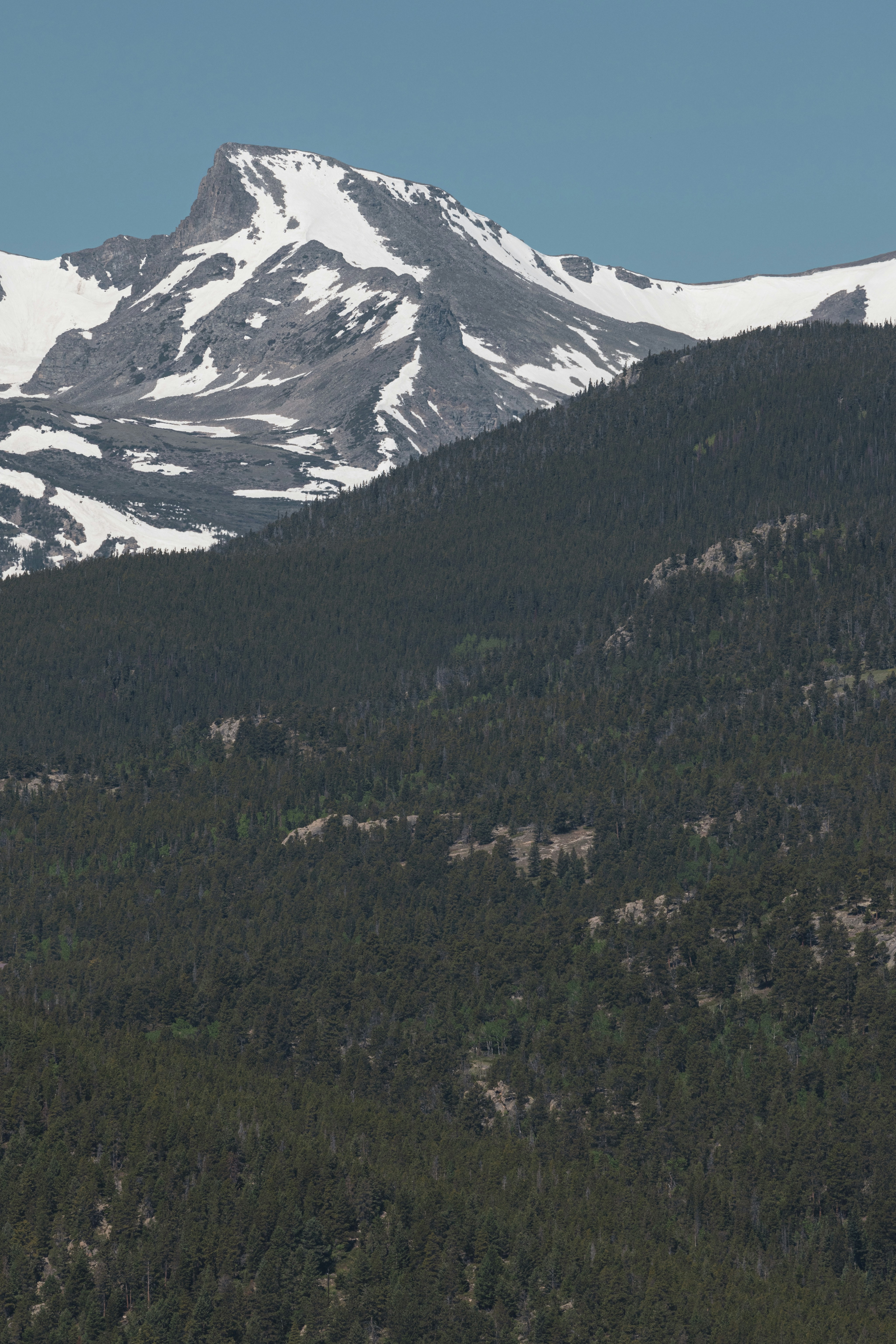 Photo by brandonstoll