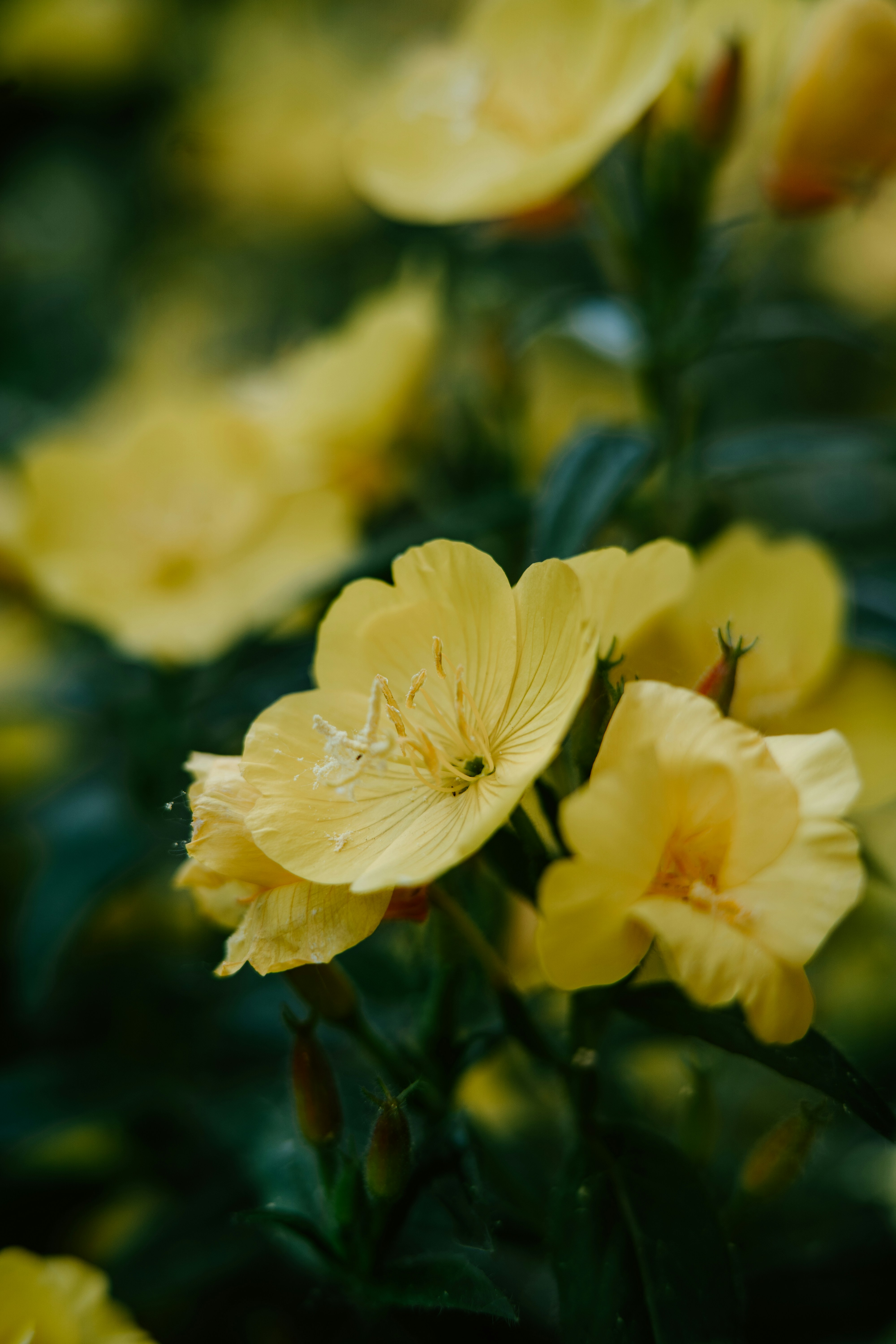 Photo by anamnesis33