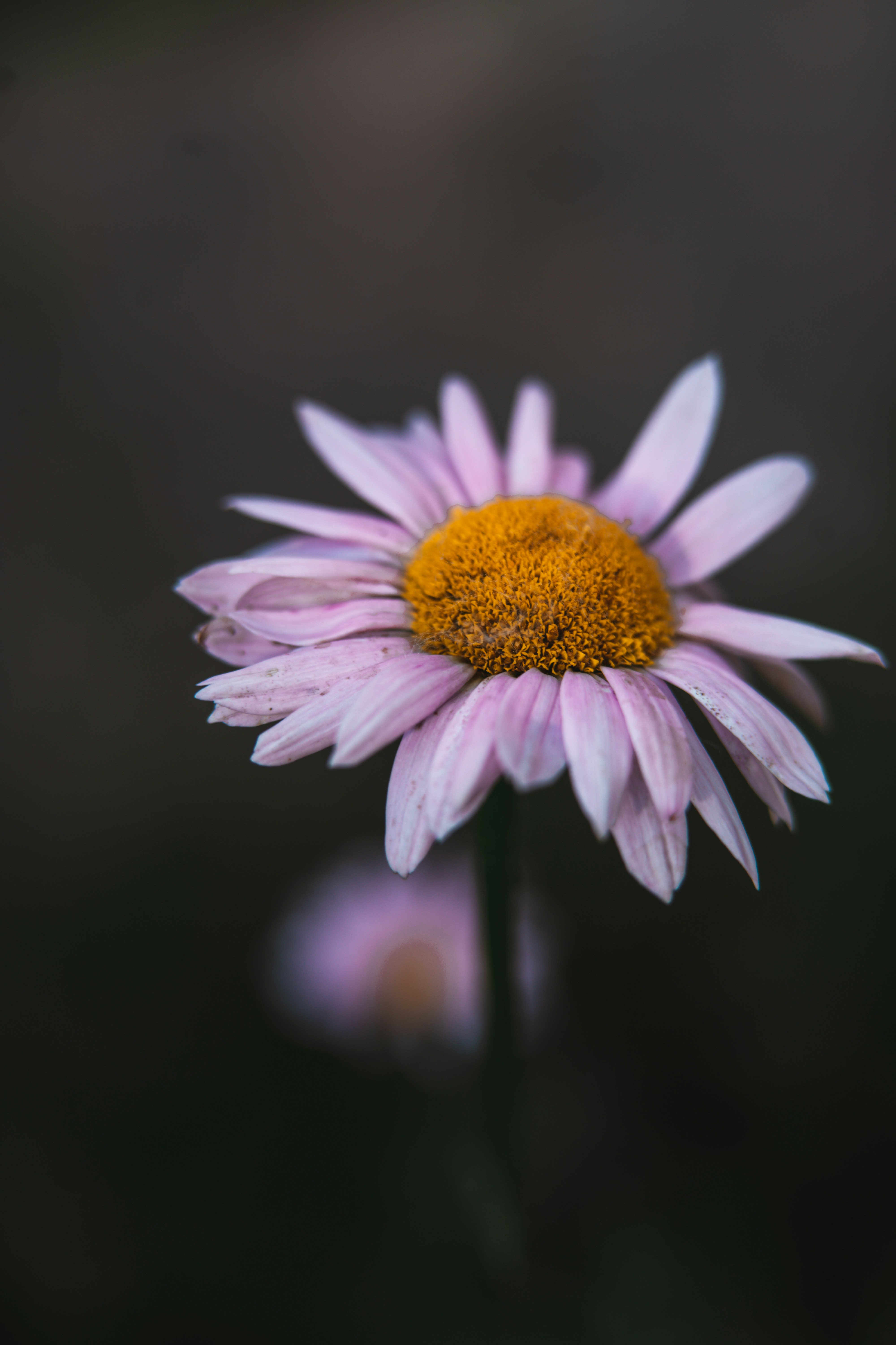 Photo by anamnesis33