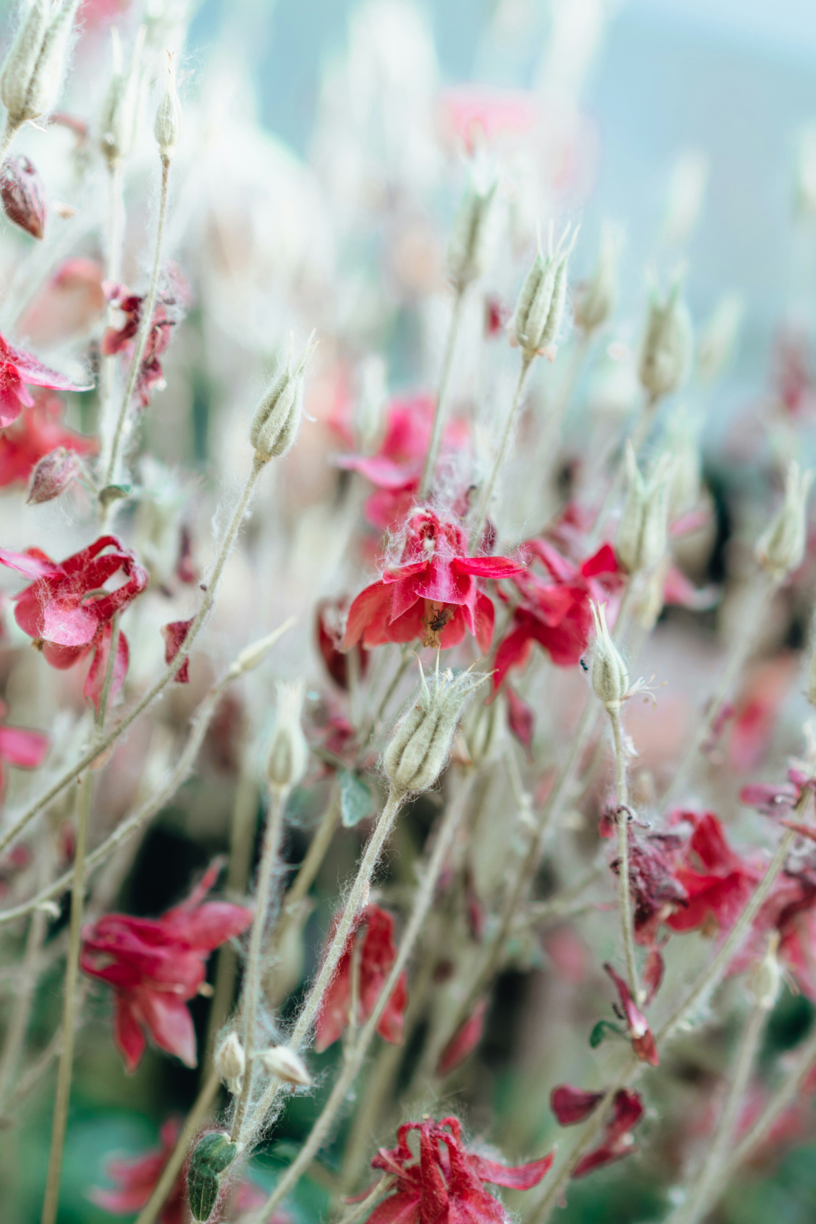 Photo by anamnesis33