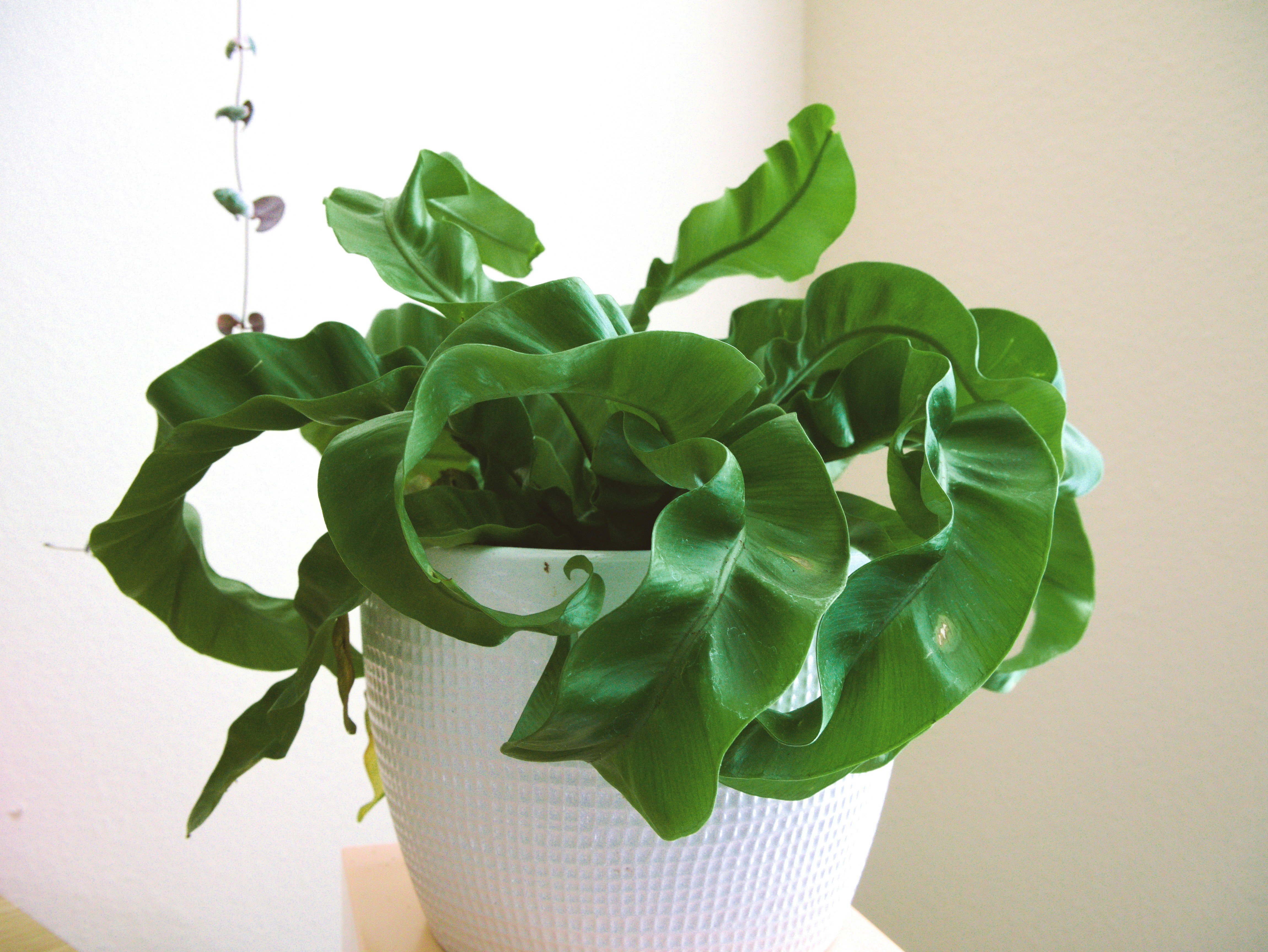 Photo by itsnotjacie